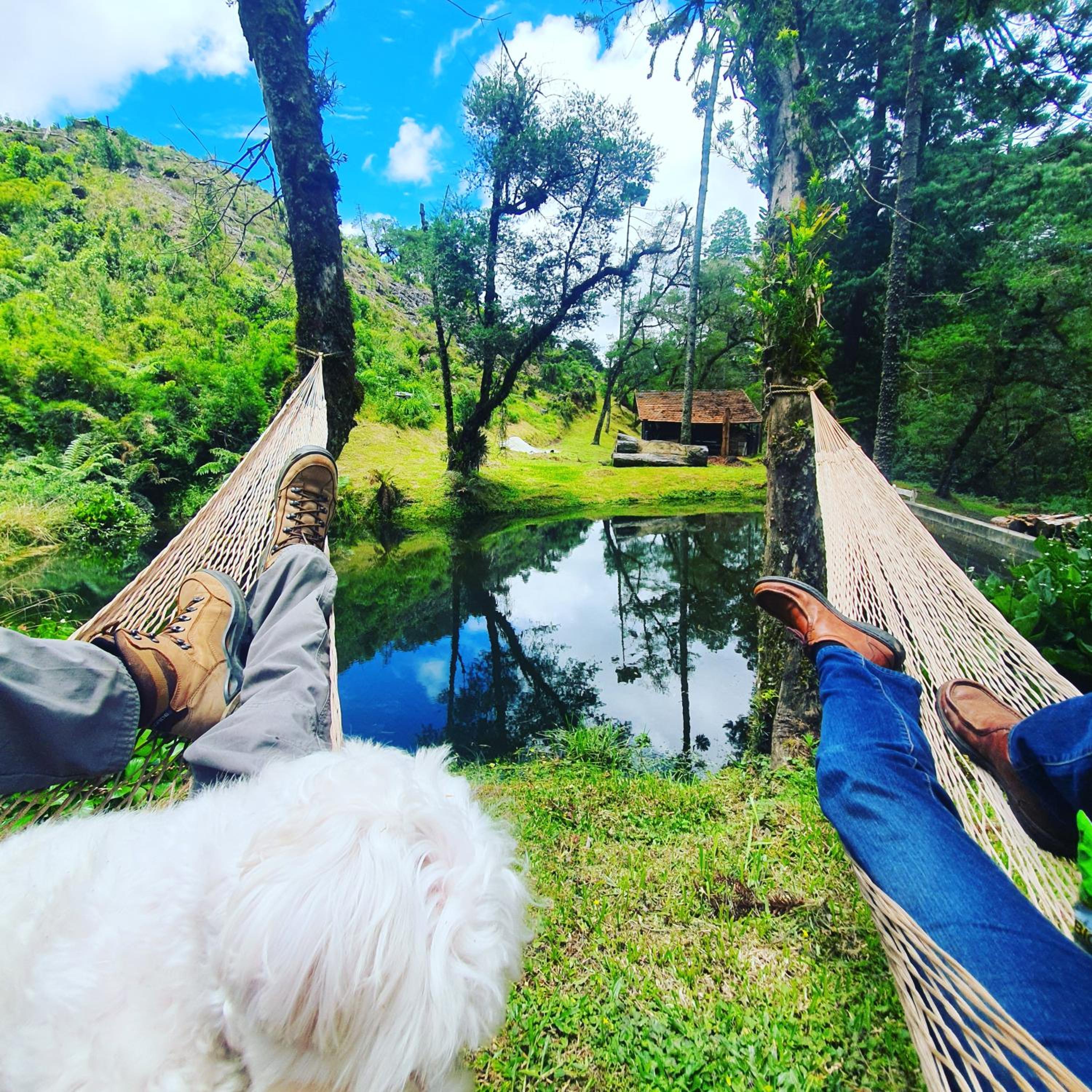 Photo 34