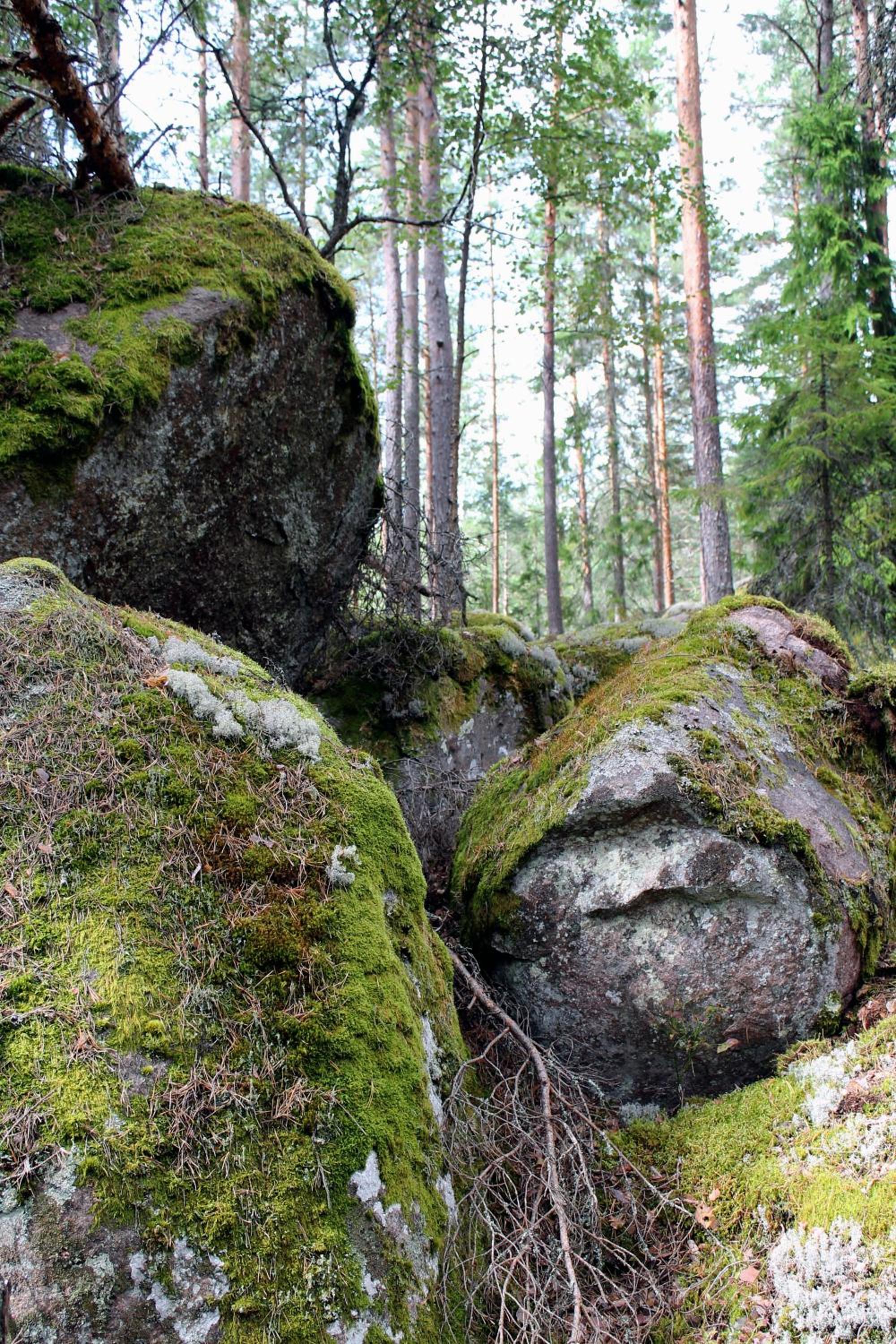 Photo 47