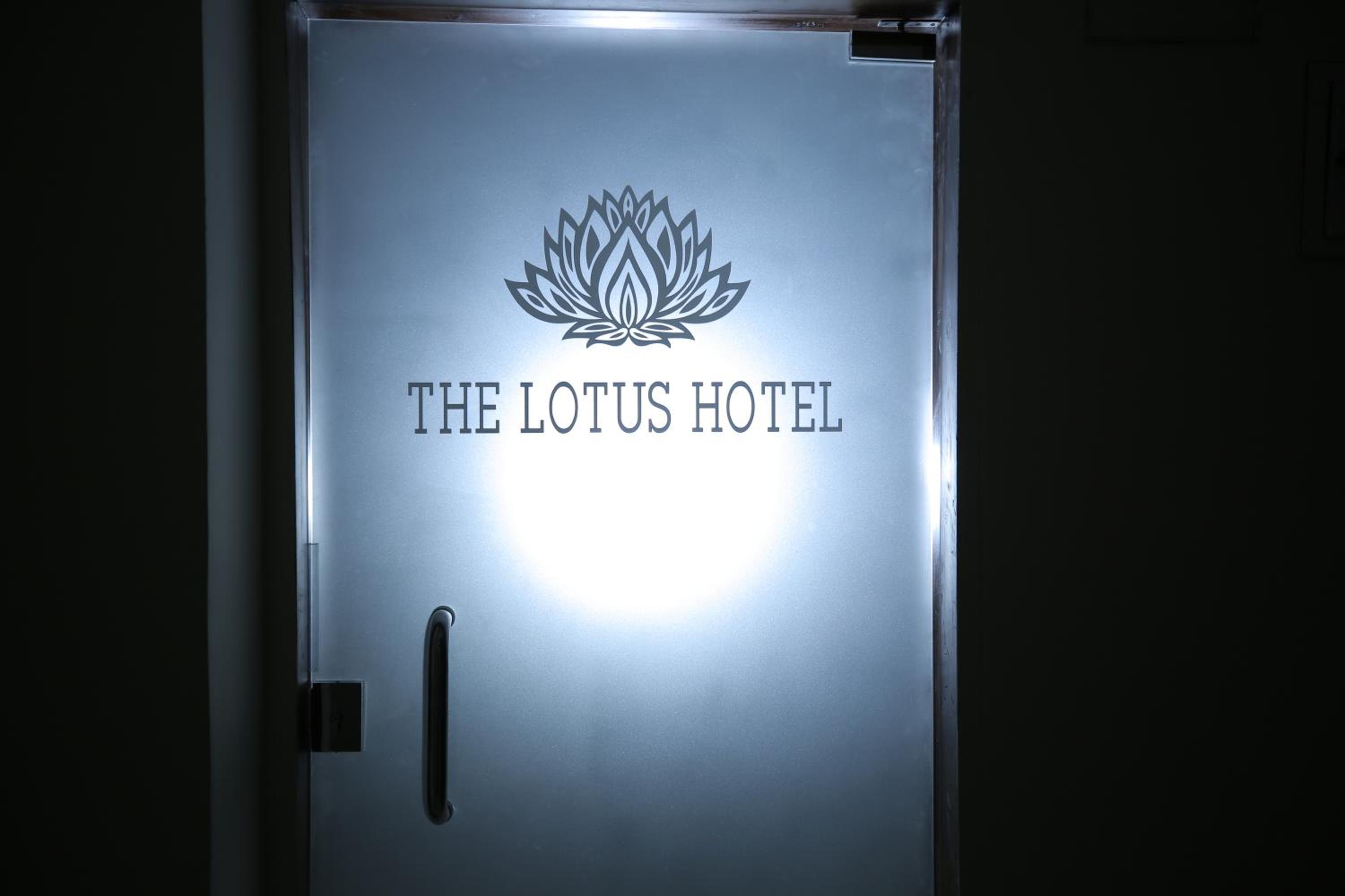 the lotus pyramids view