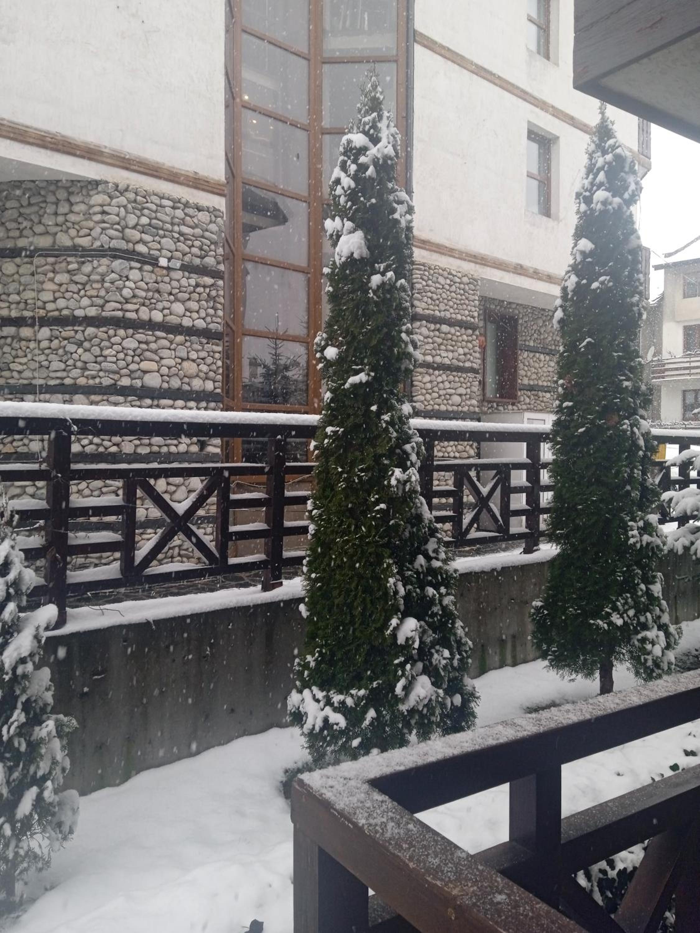 Photo 43
