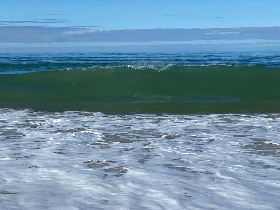Unbeatable Beach Front Access 40m - Star Tour Option