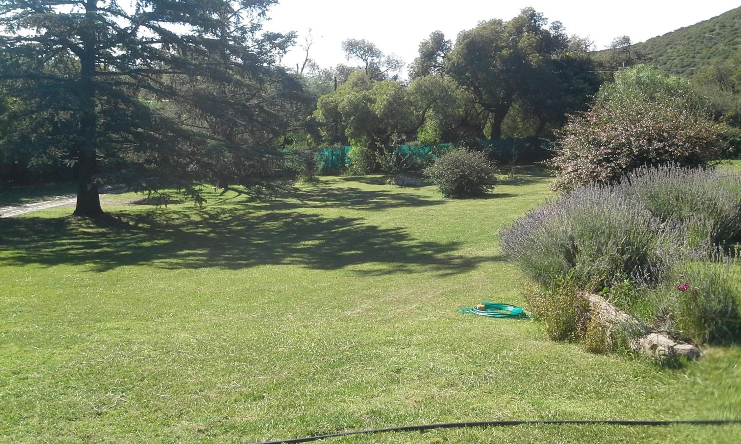 other