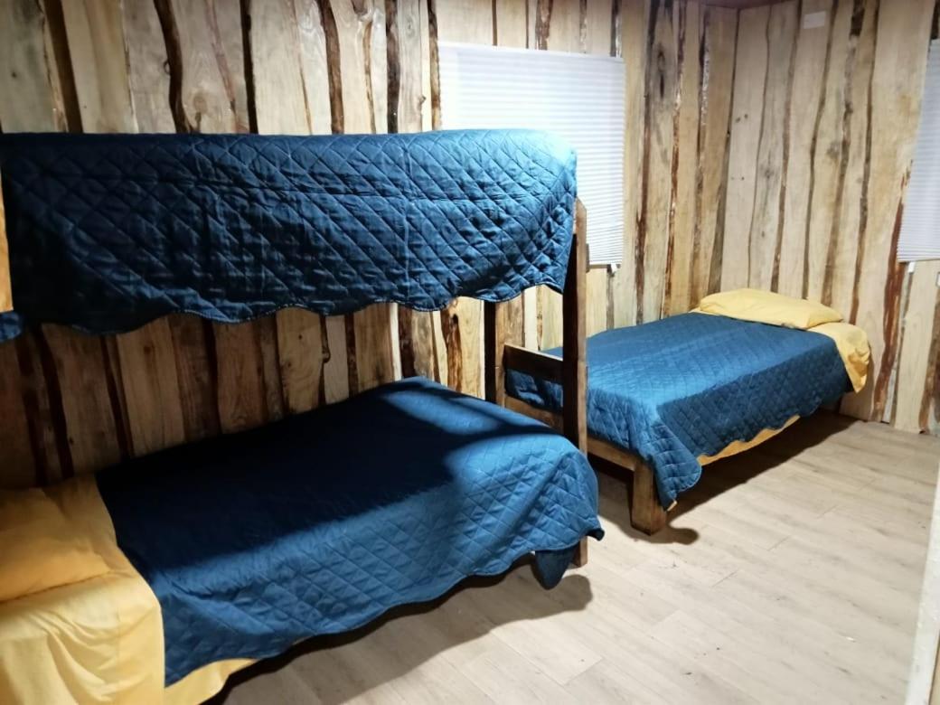 Cabaña Cunco parcela
