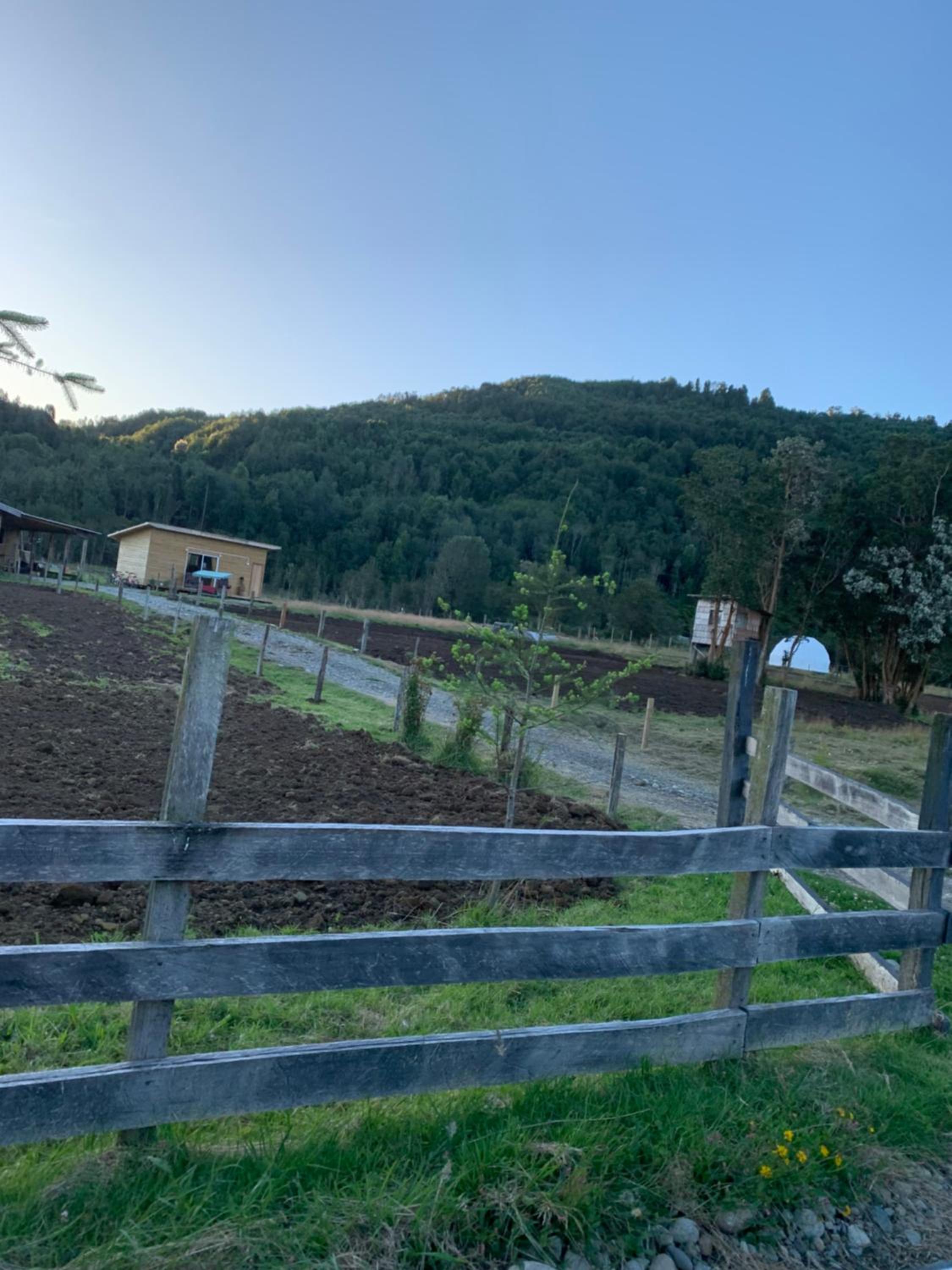 Cabaña del campo