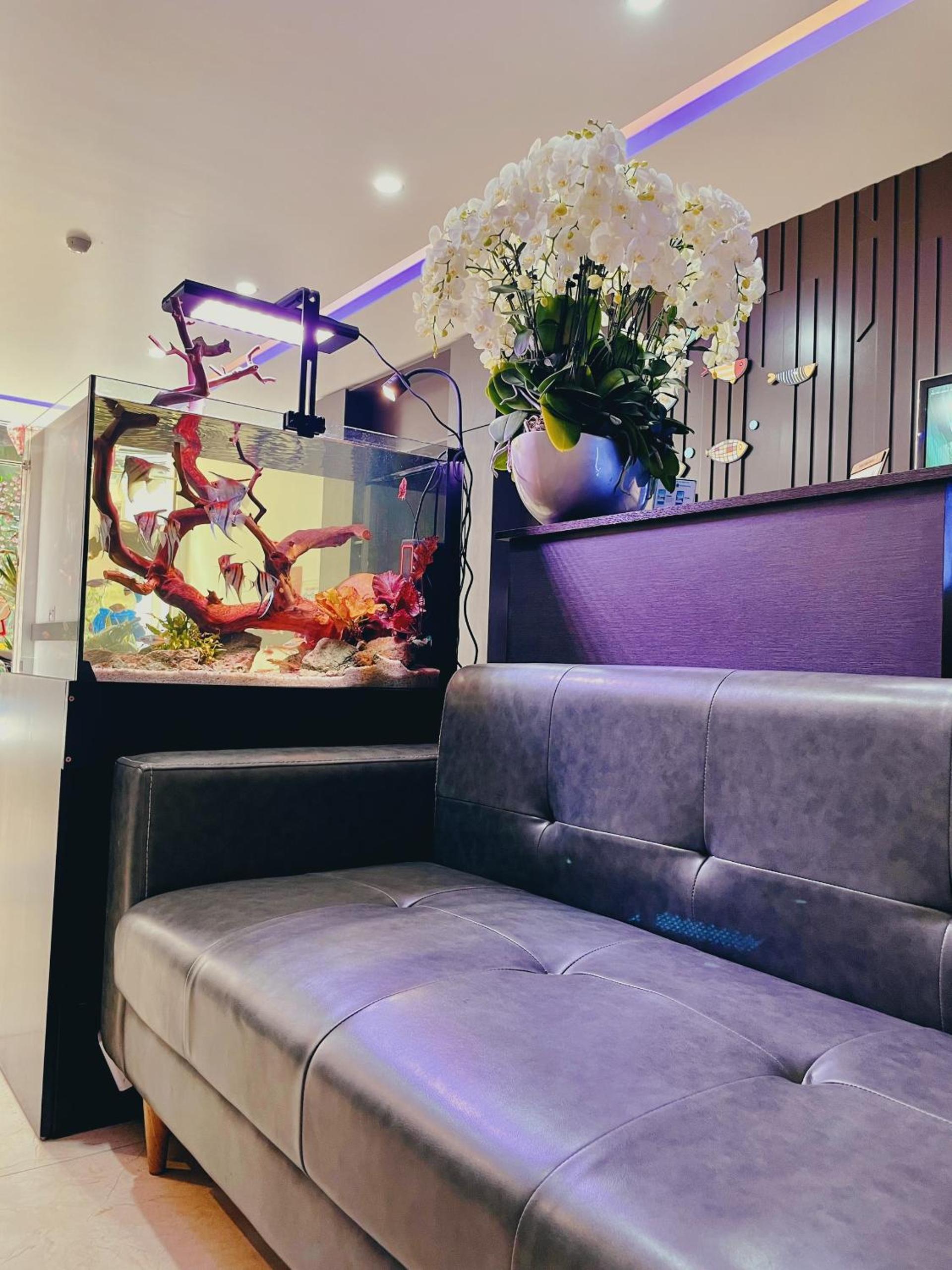 DT Hotel Hai Phong view 5