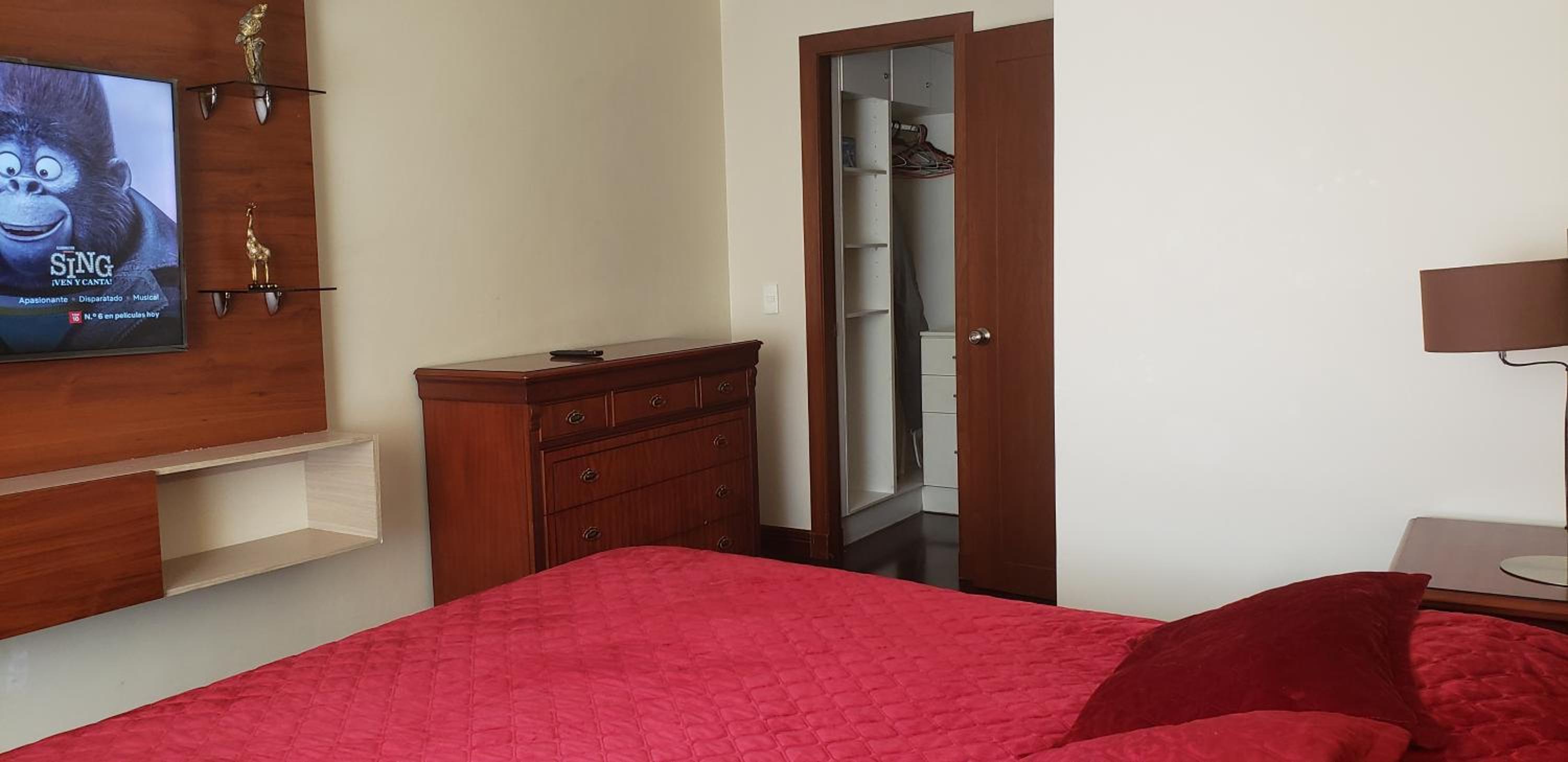 MINI APARTAMENTO, Netflix, Disney Plus, sector privilegiado, cerca de todo view 4