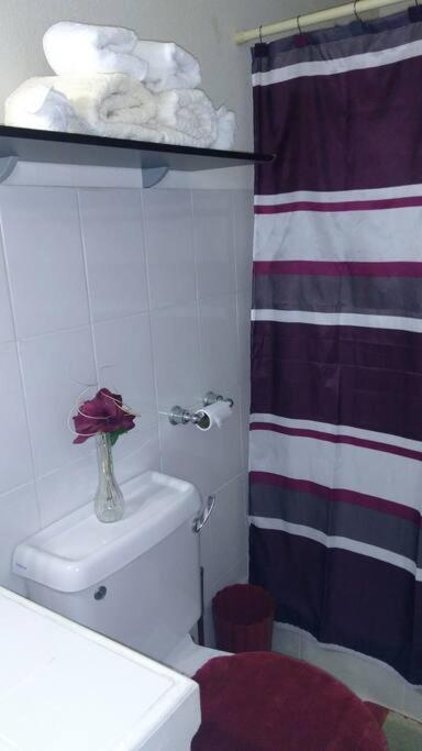 So-neez Upstairs apt