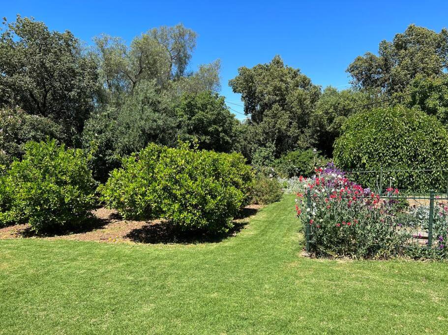 Wonga - A secluded oasis in the heart of Parkes