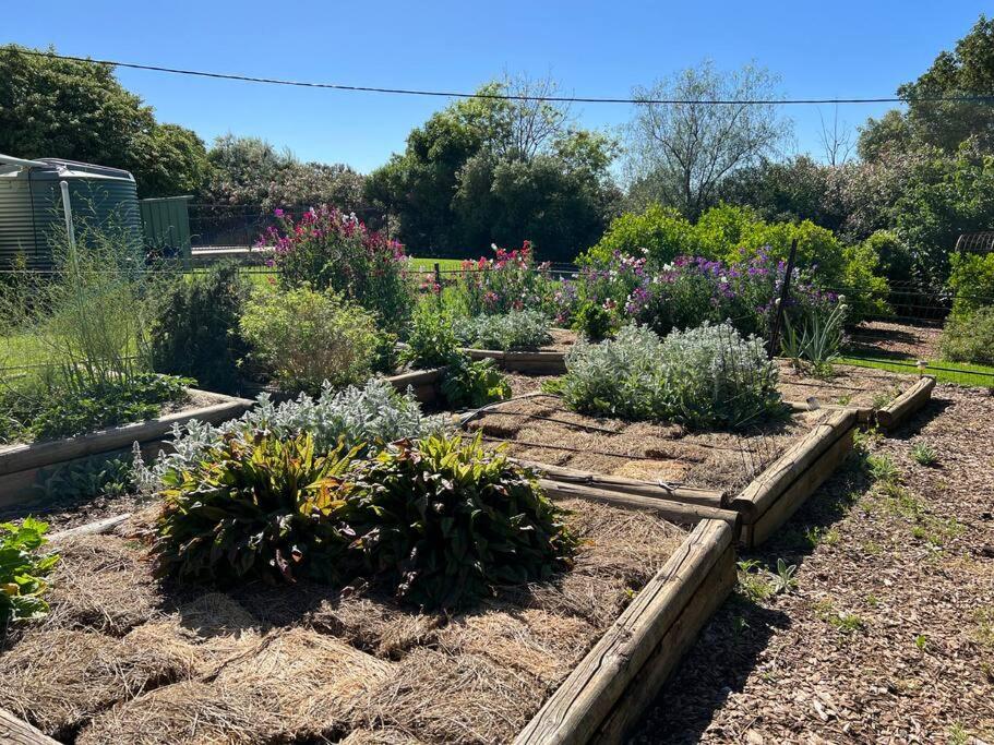 Wonga - A secluded oasis in the heart of Parkes