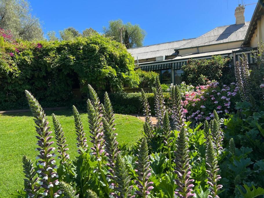 Wonga - A secluded oasis in the heart of Parkes