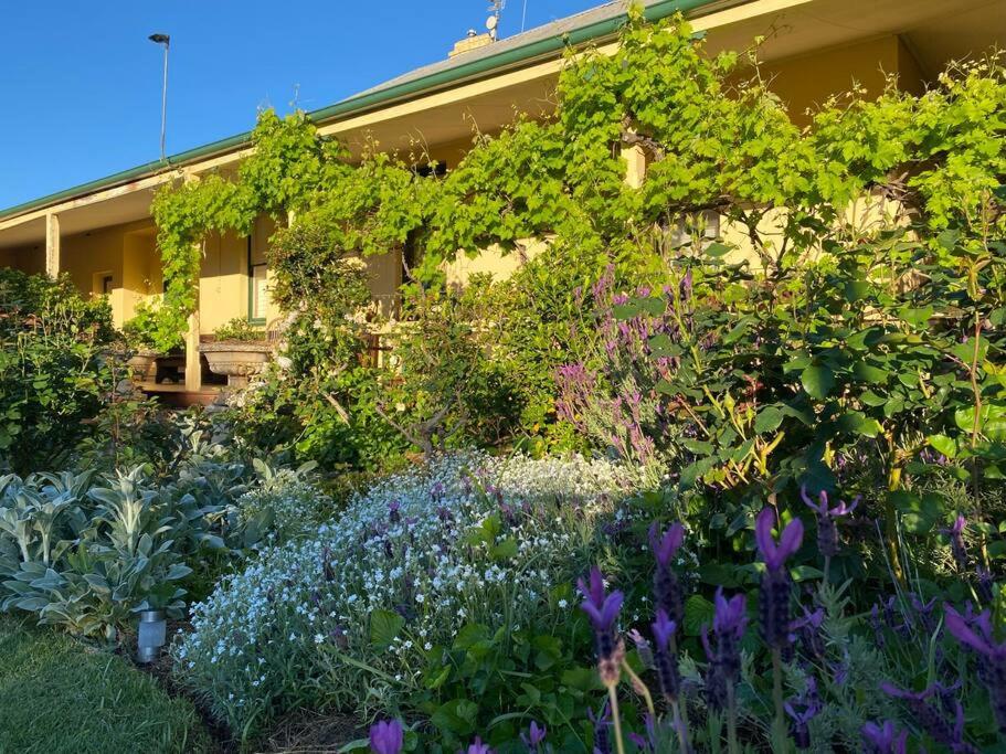 Wonga - A secluded oasis in the heart of Parkes