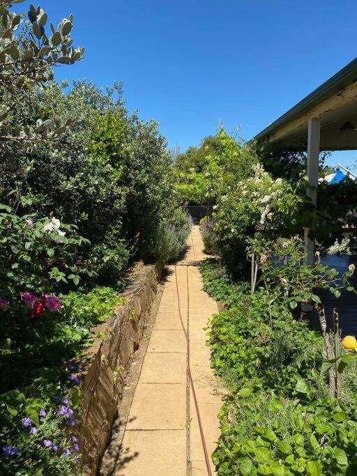 Wonga - A secluded oasis in the heart of Parkes