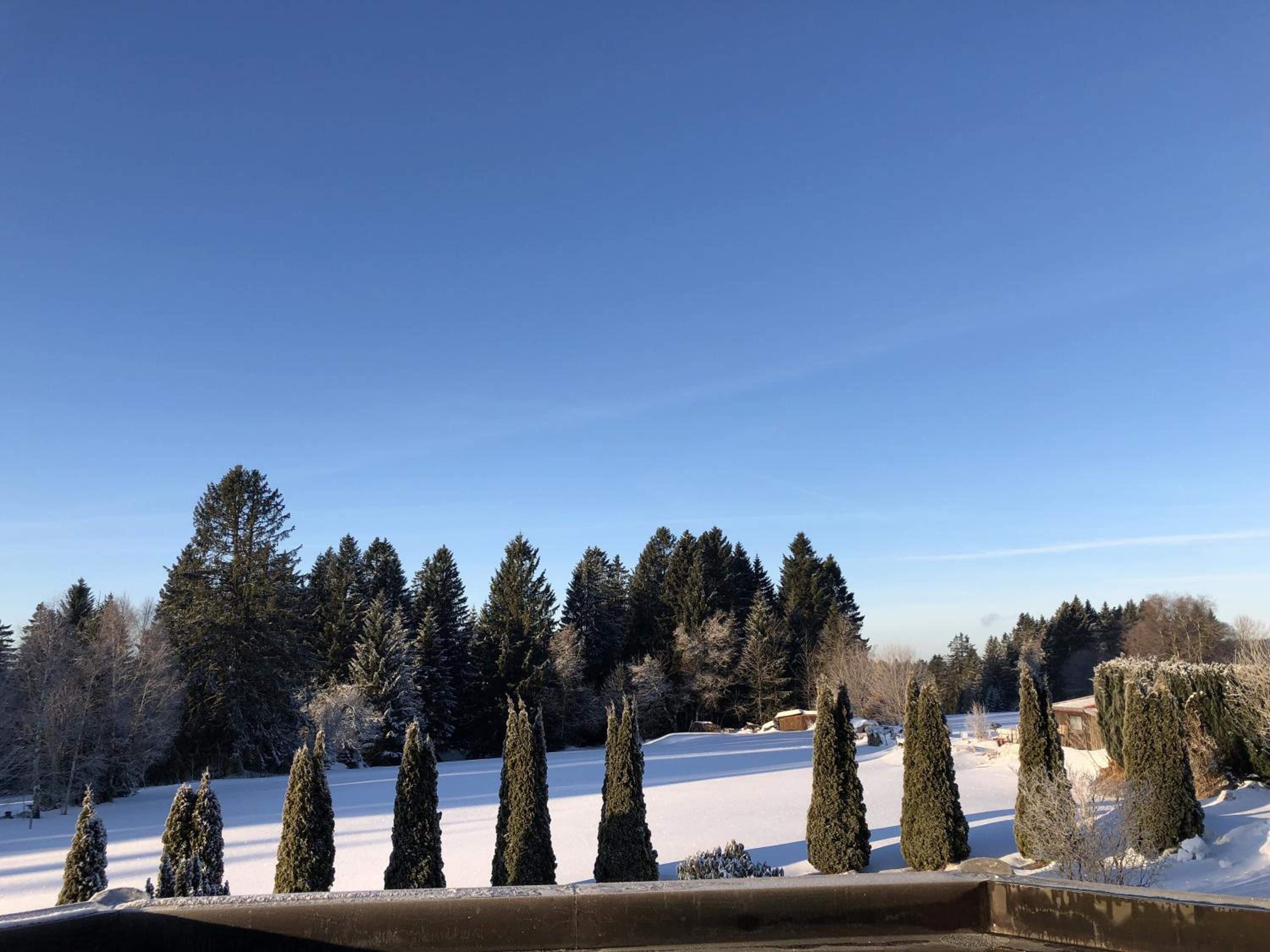 Bergstern