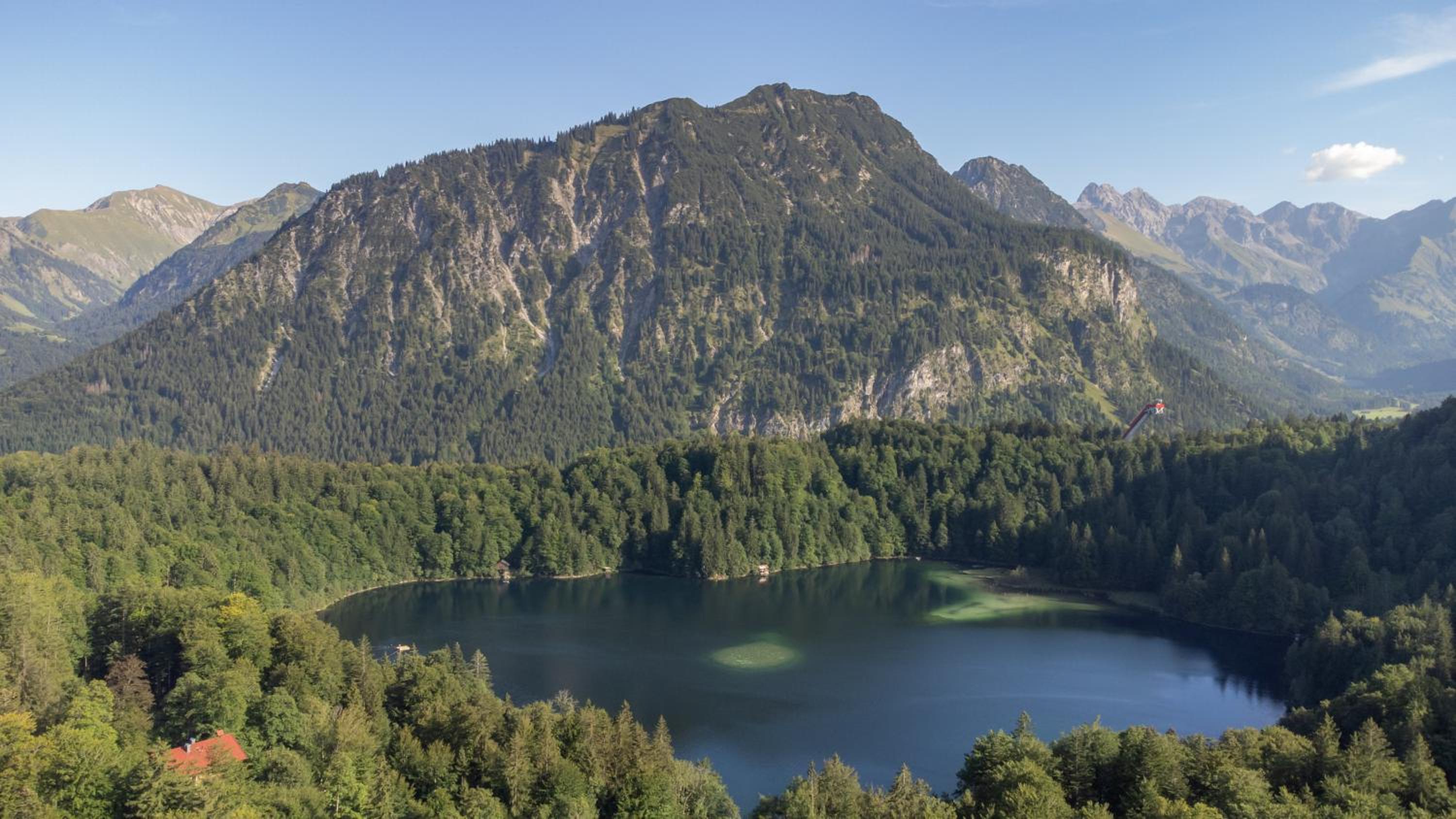 Waldgut