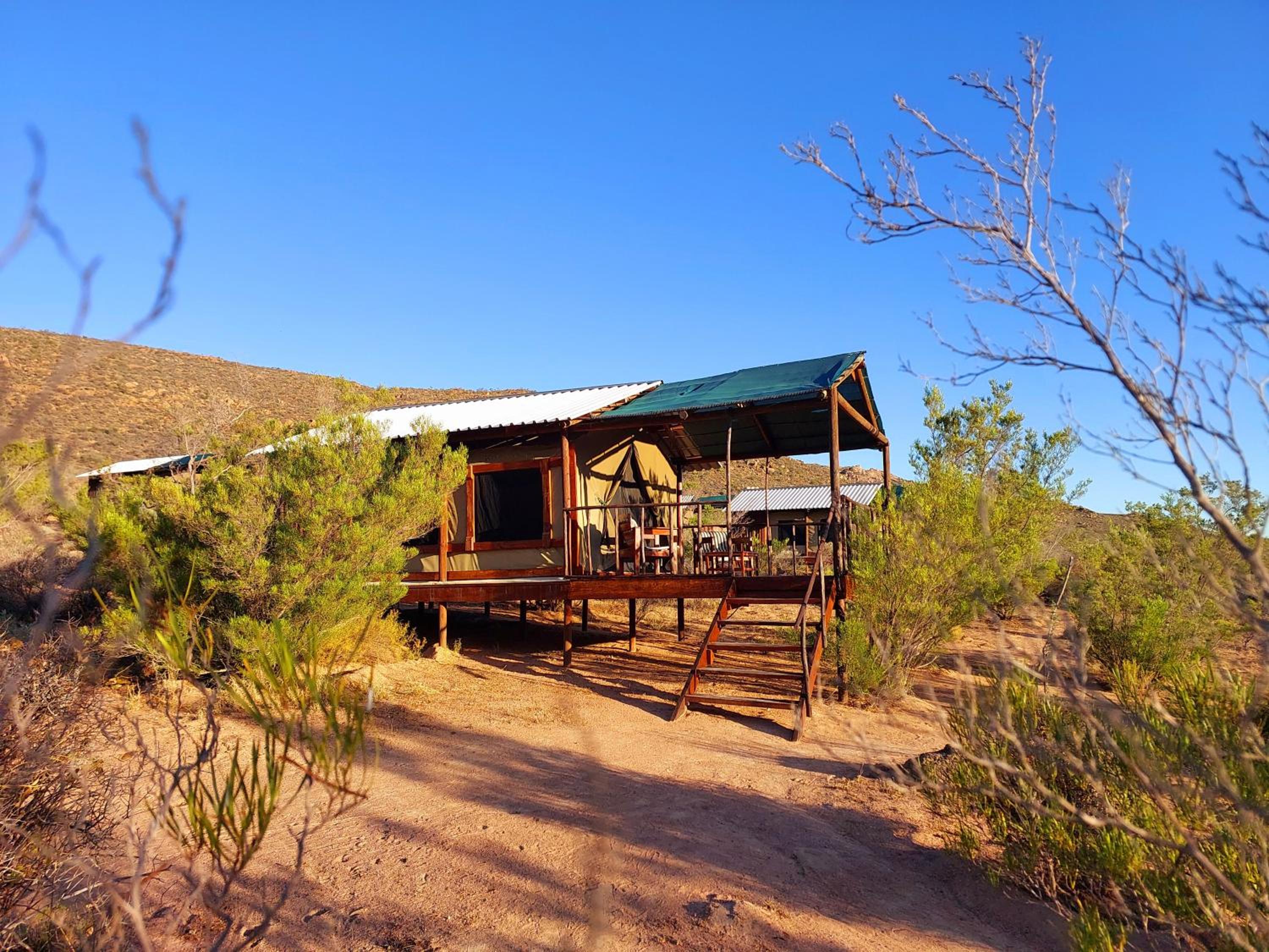 Agama Tented Camp view 2