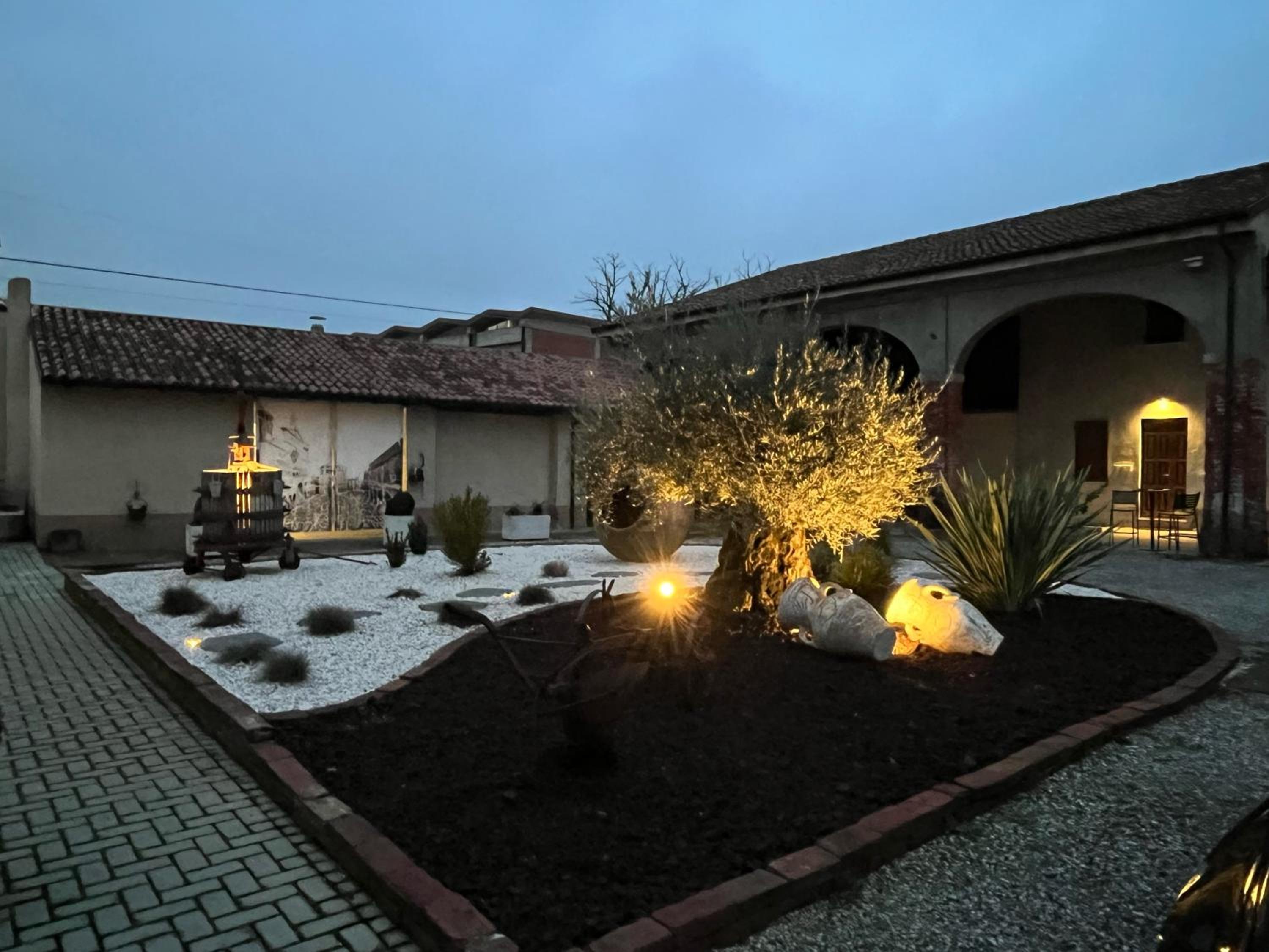Photo 19