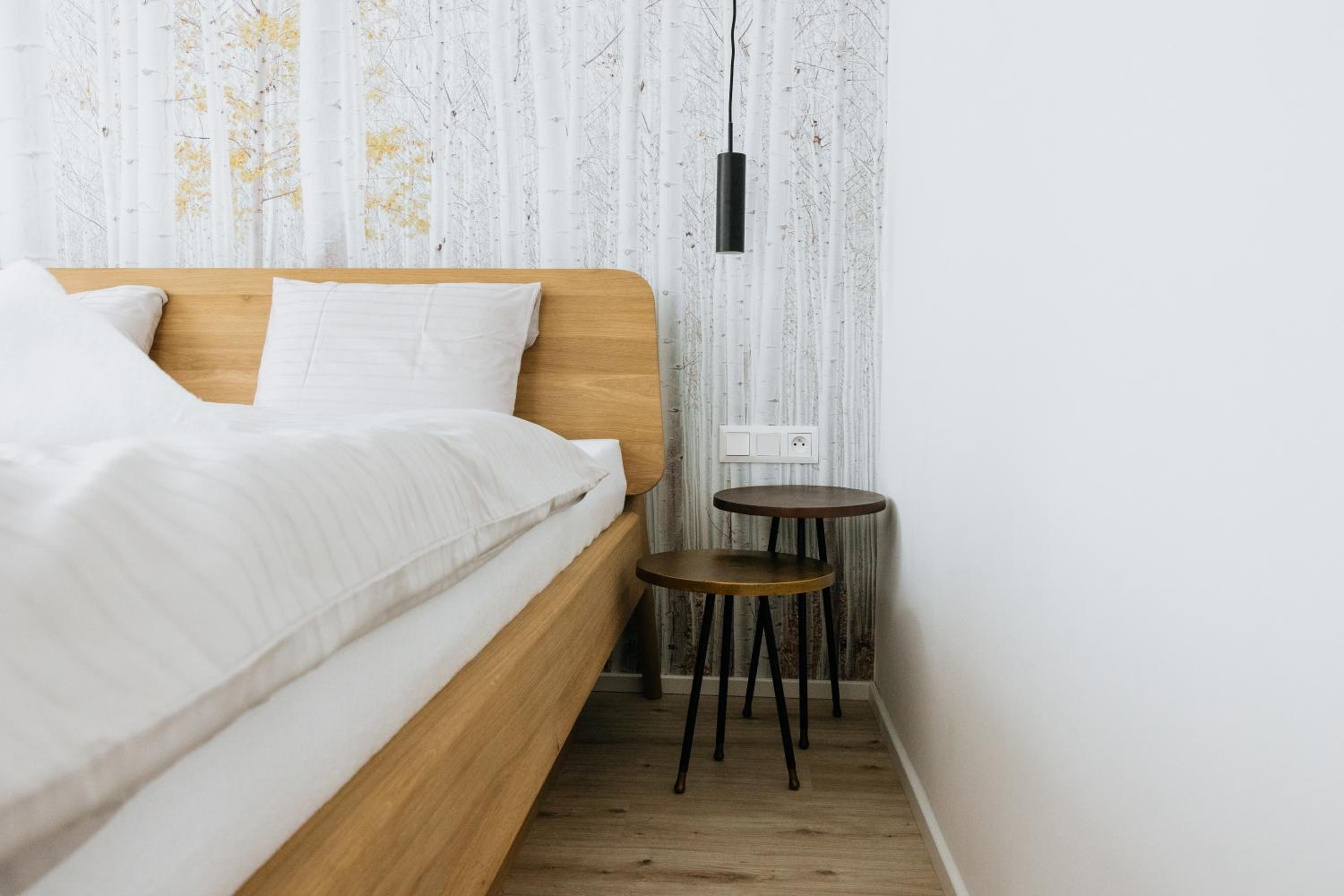 Apartmán U Zlaté břízy Krušné hory - Erzgebirge