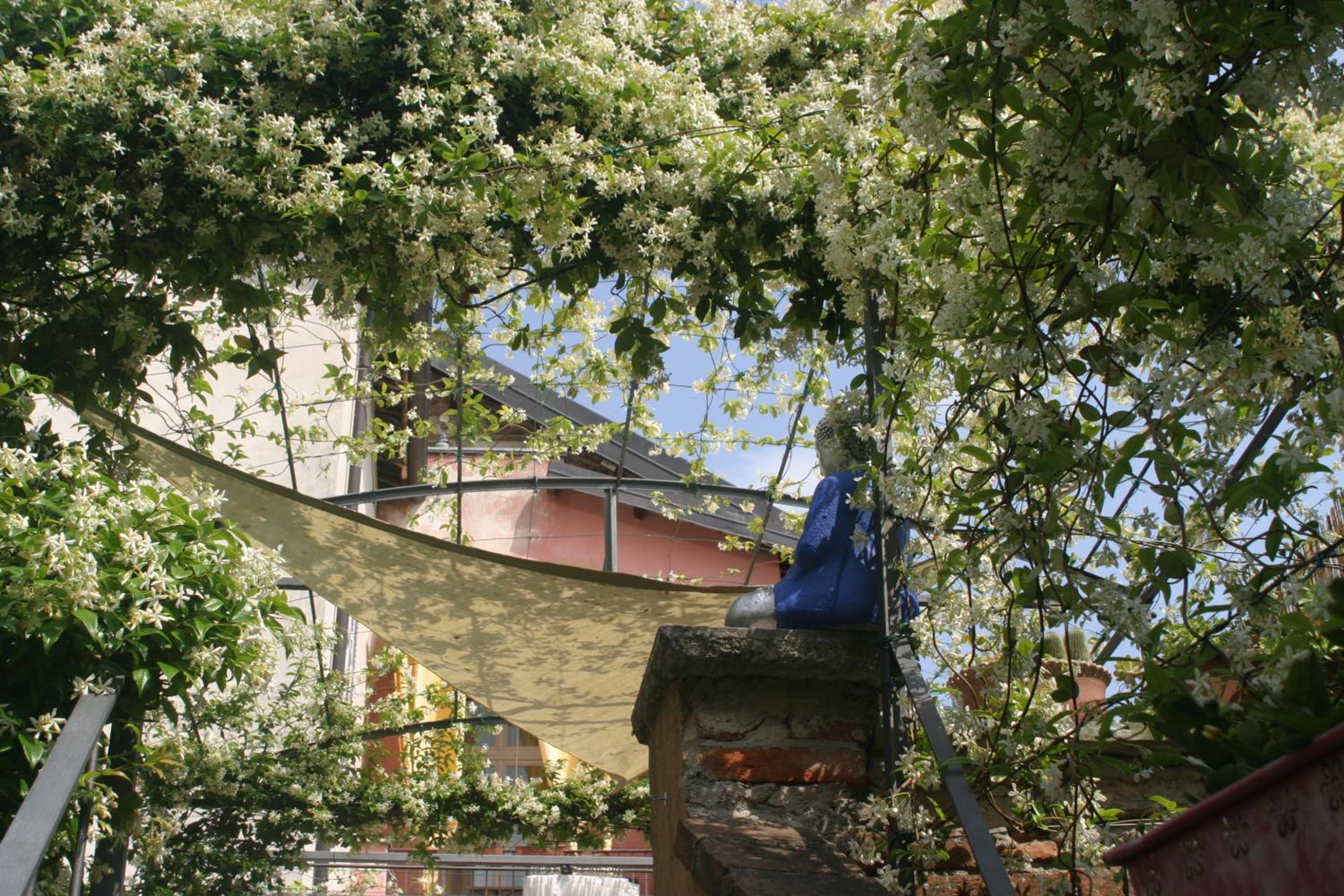 Photo 40
