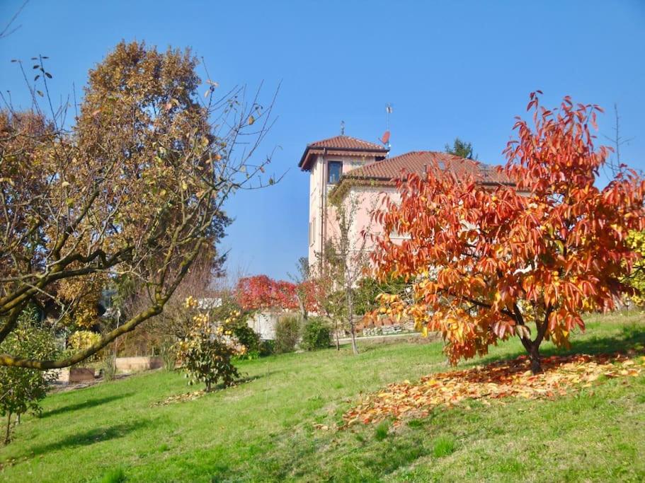 Photo 21