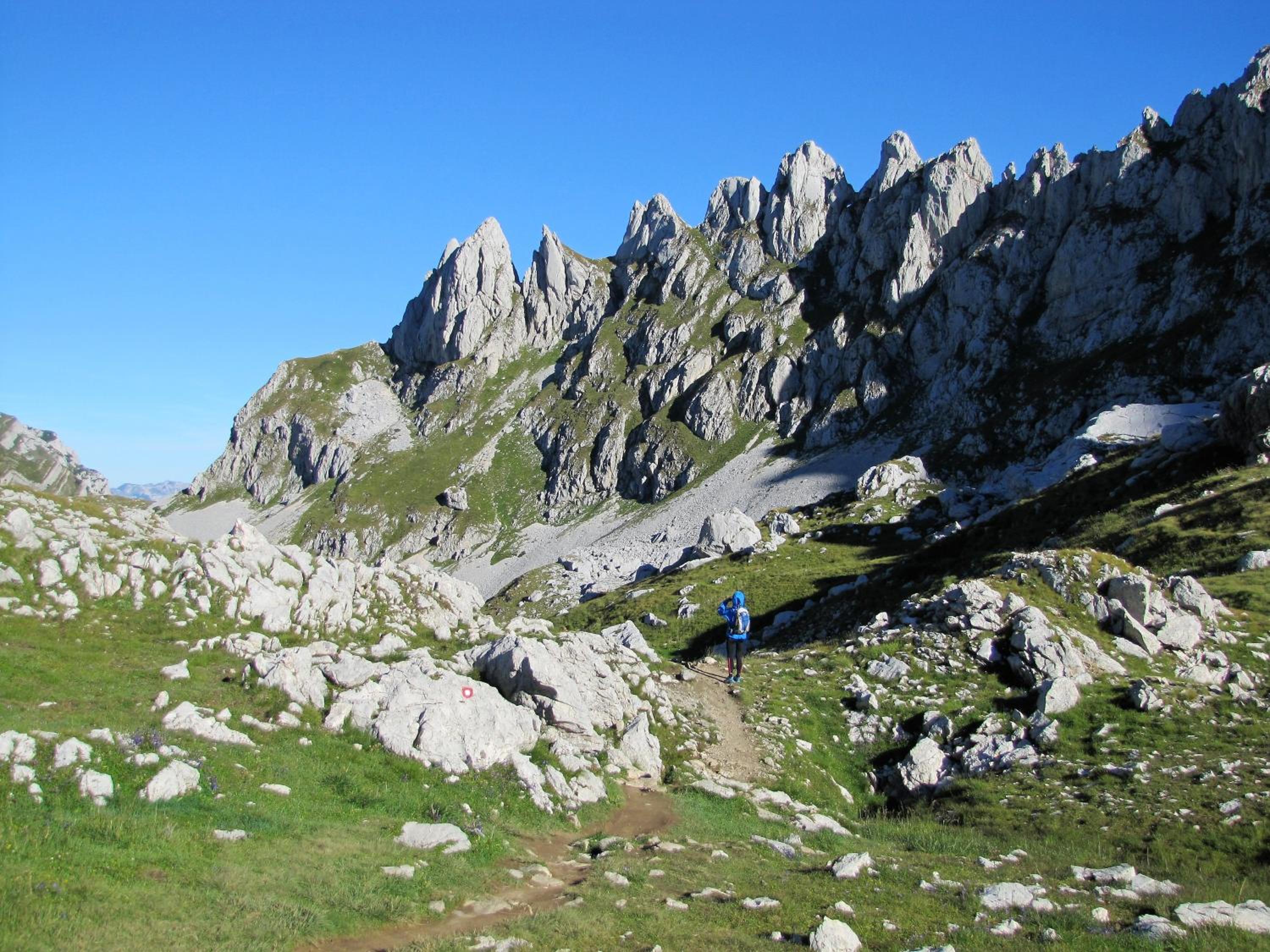 Photo 47