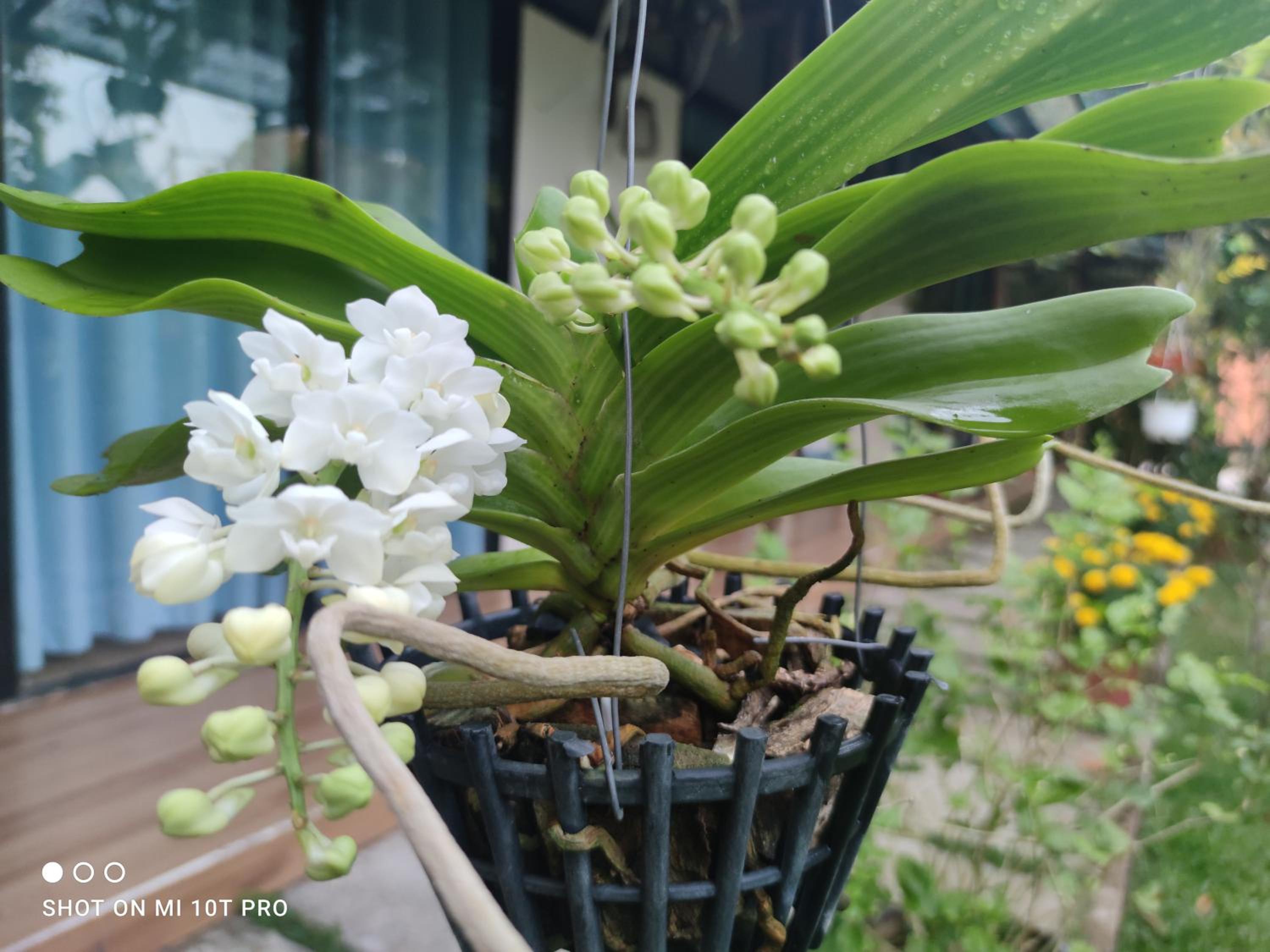 Bebe Homestay Phu Quoc
