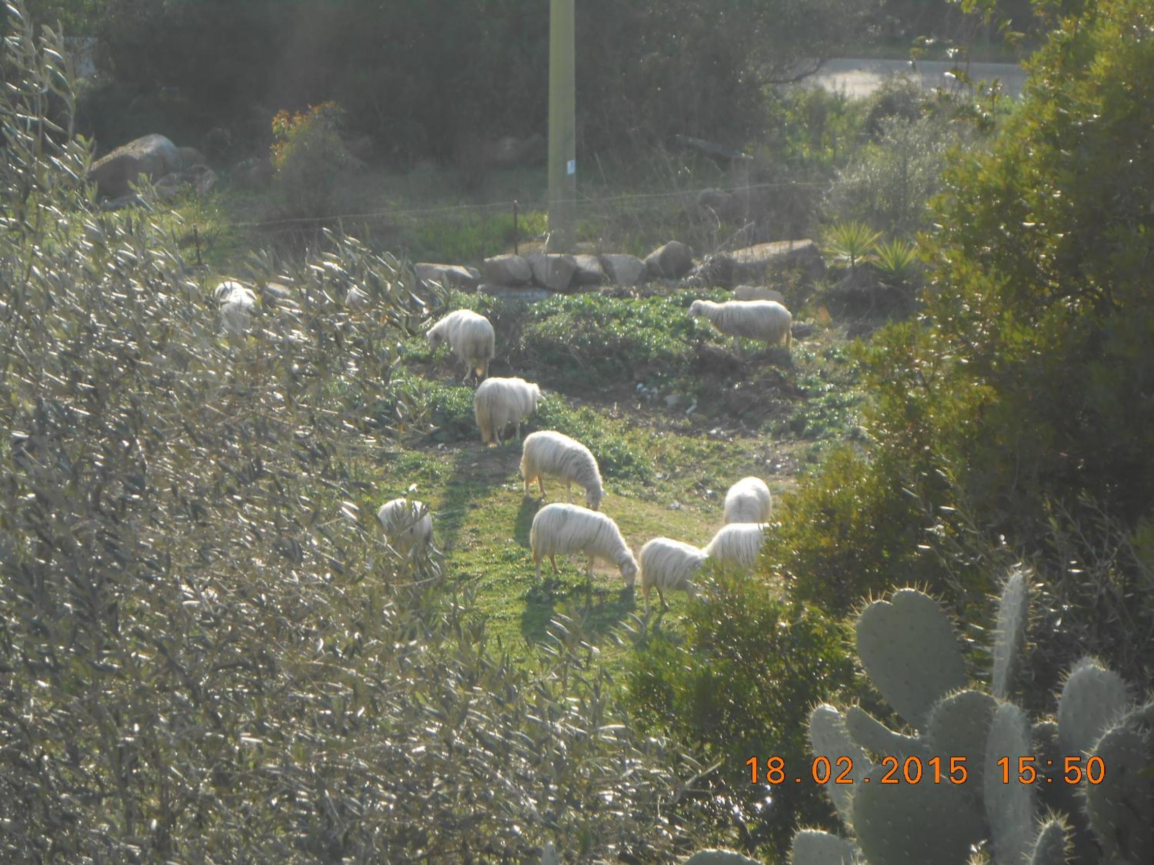 Photo 18