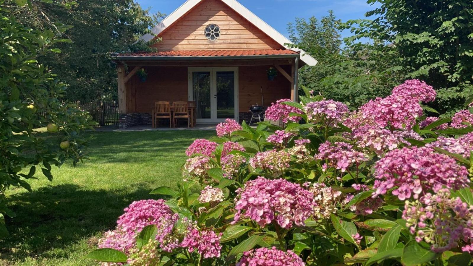 Lodges near the Rhine - Sustainable Residence, photo 71