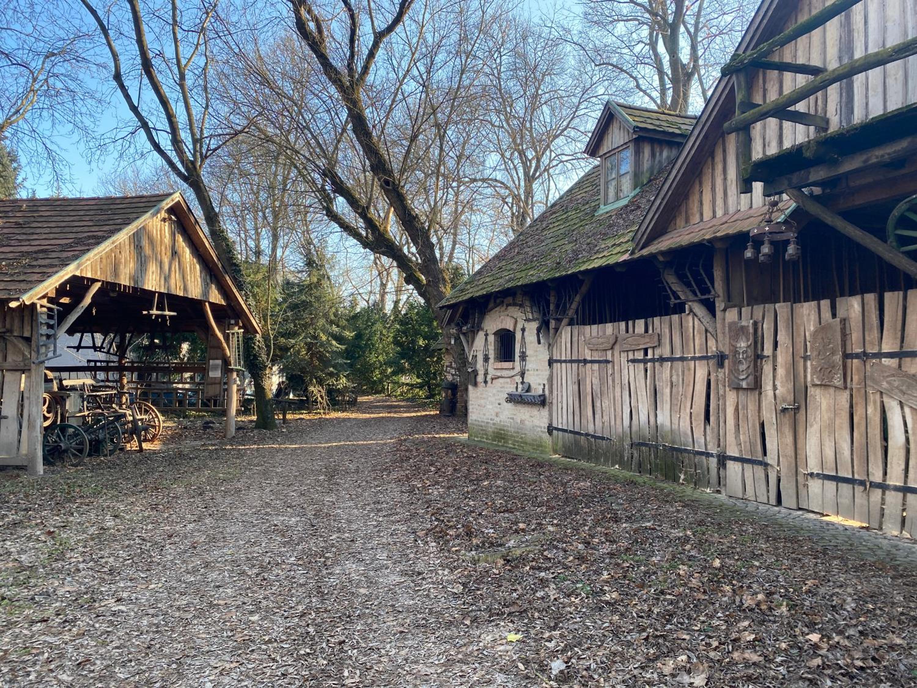 Photo 15