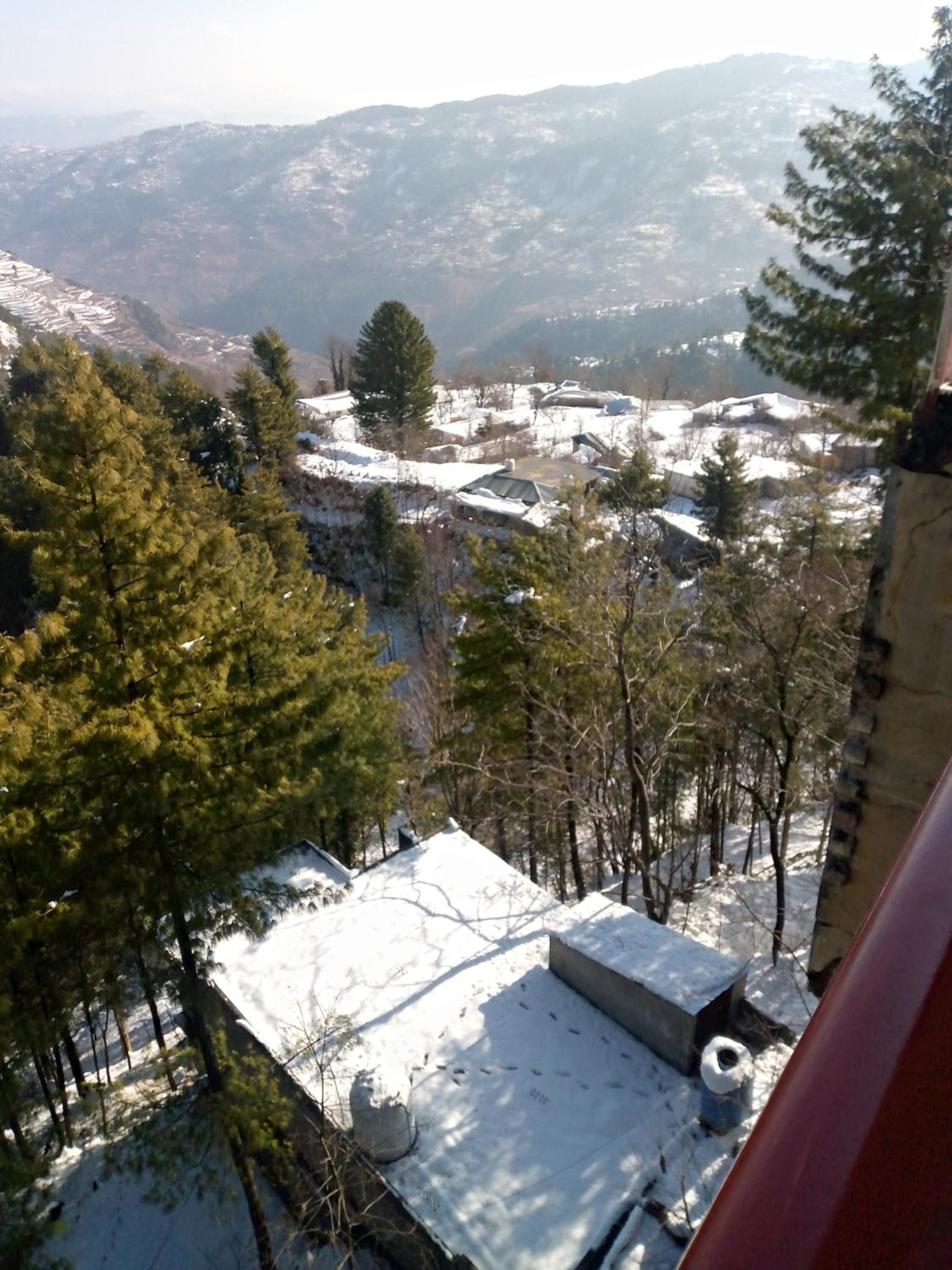 Photo 7