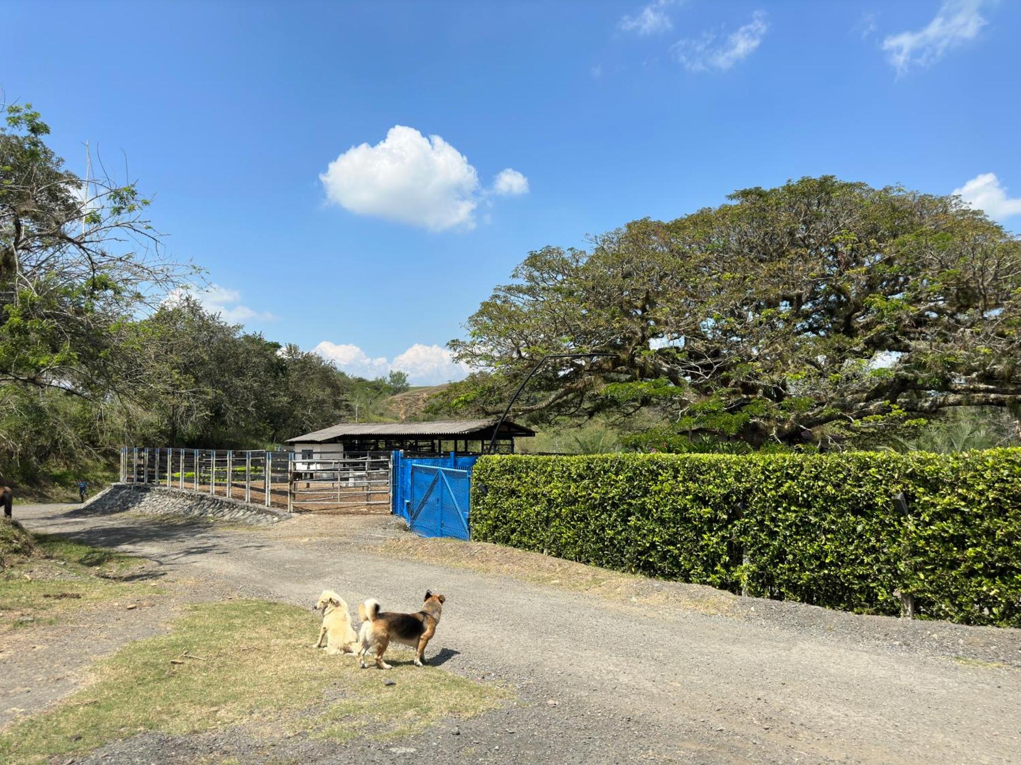 Hacienda Daniela