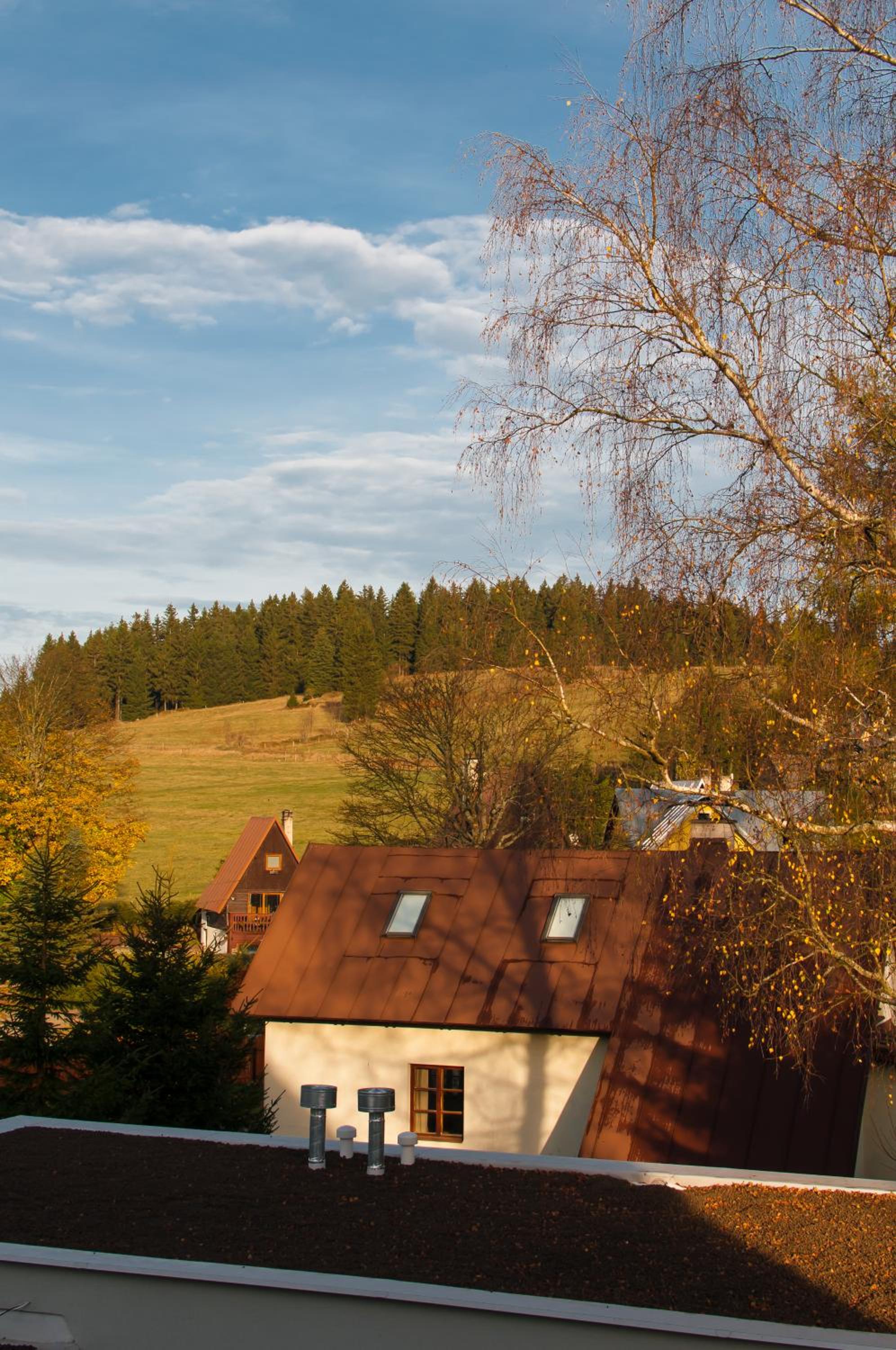 Apartmán U Zlaté břízy Krušné hory - Erzgebirge