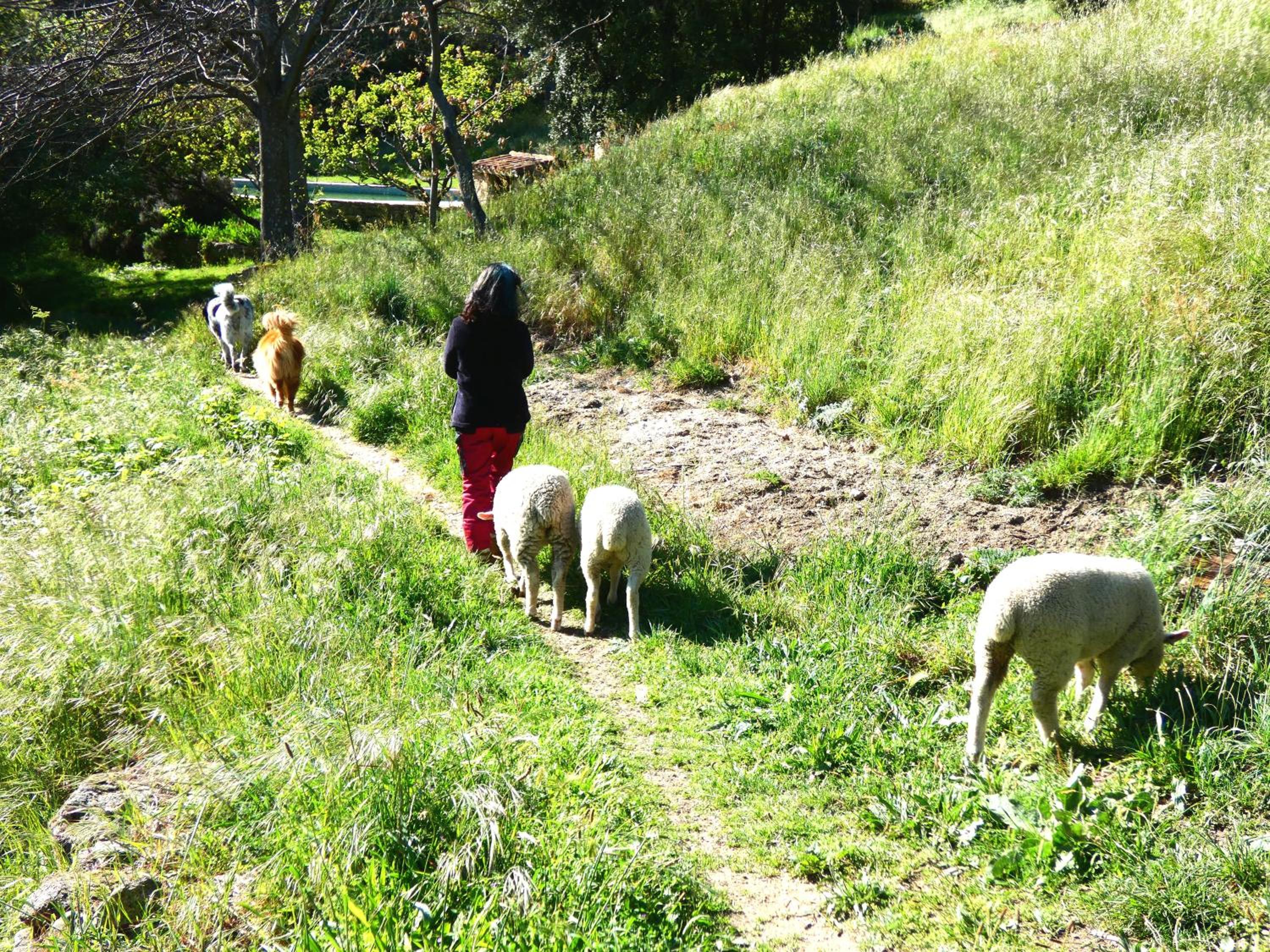 Photo 12