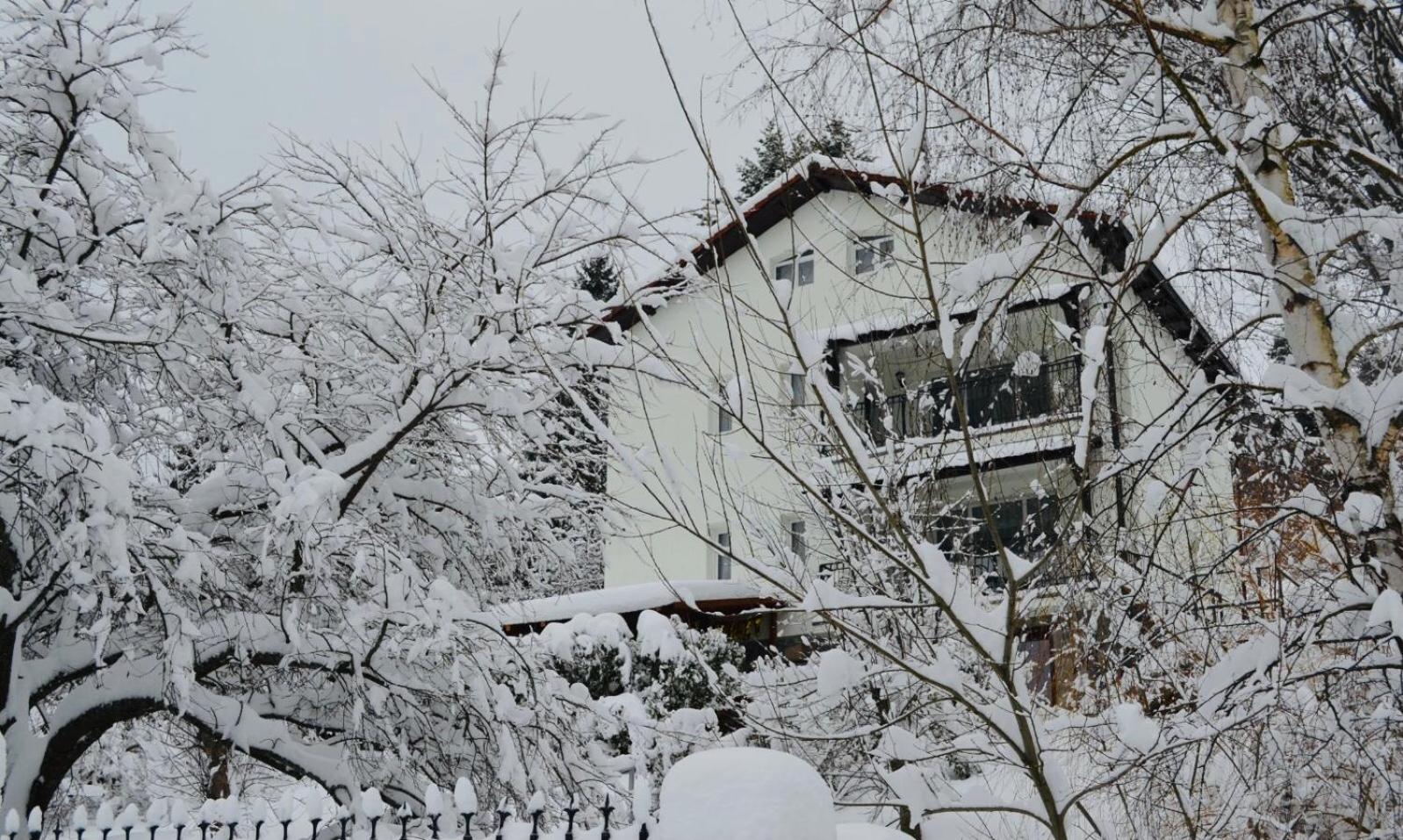 Iepurasul Sinaia
