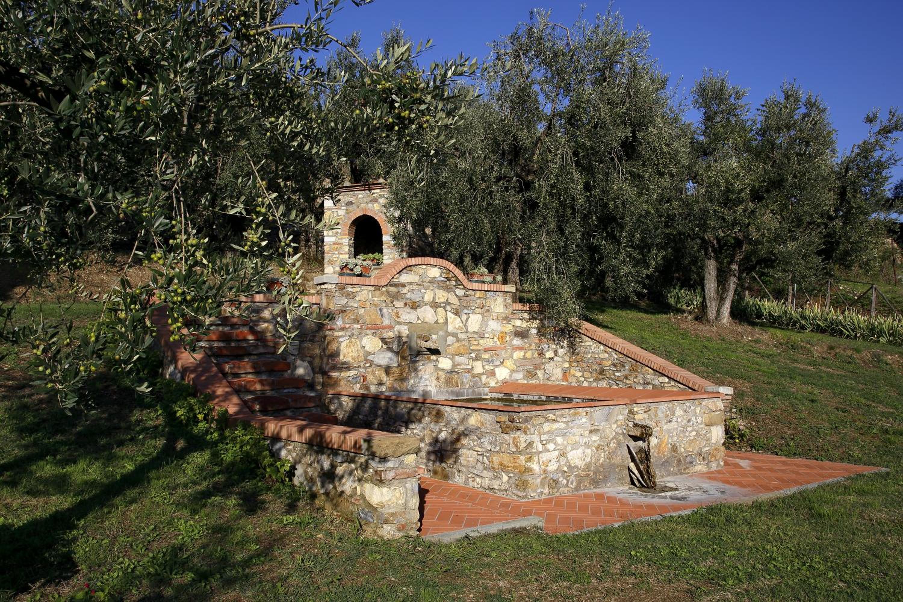 Photo 24