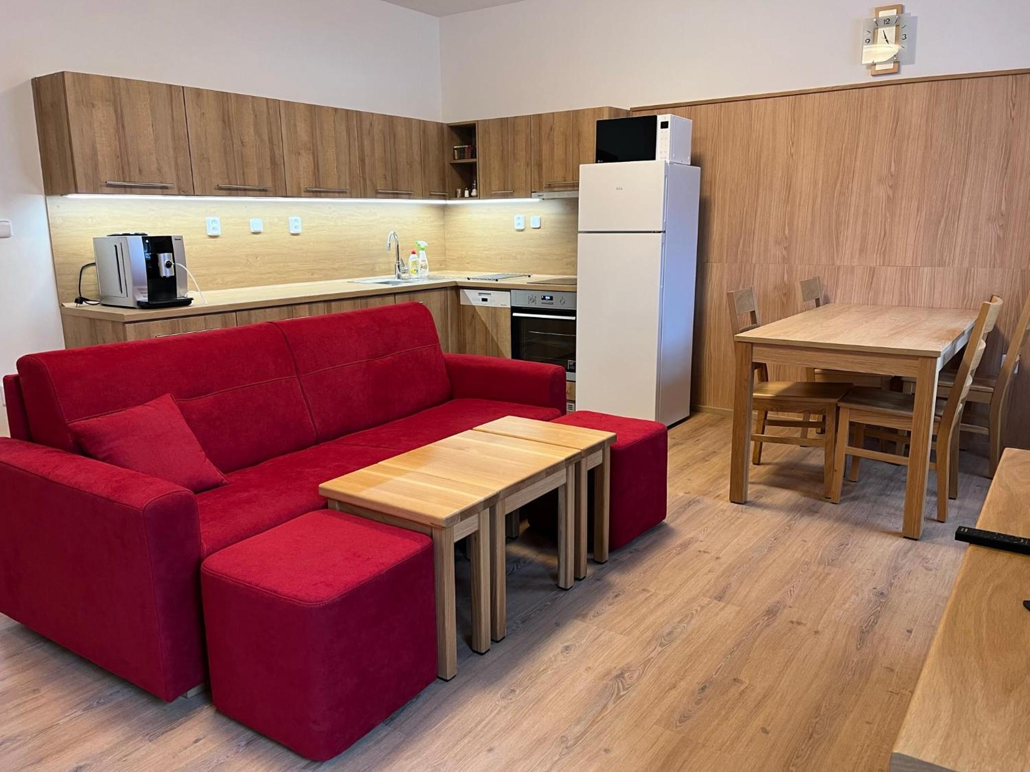 Apartmány Nýdečanka view 3