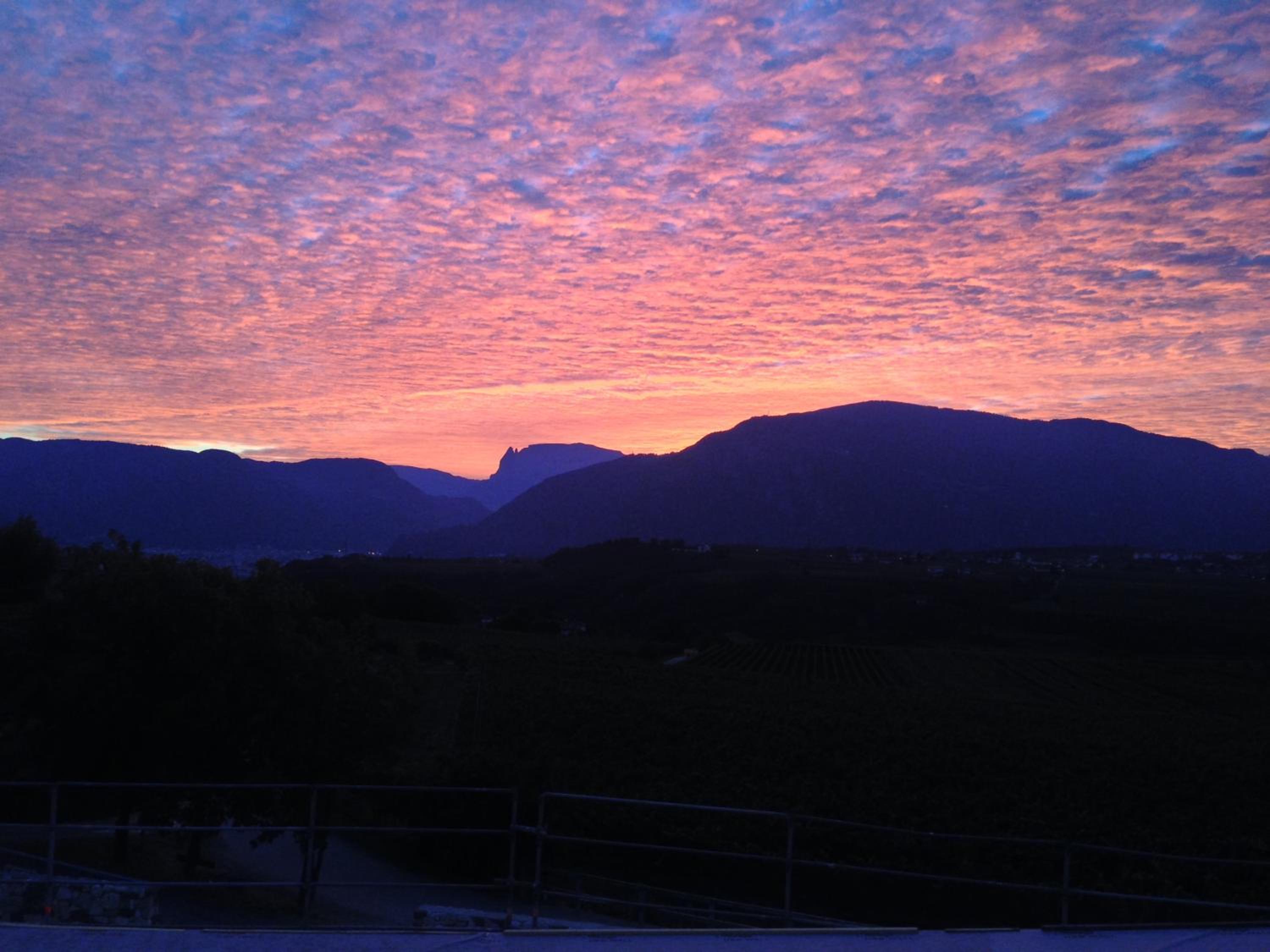 Weingut Klaus Lentsch
