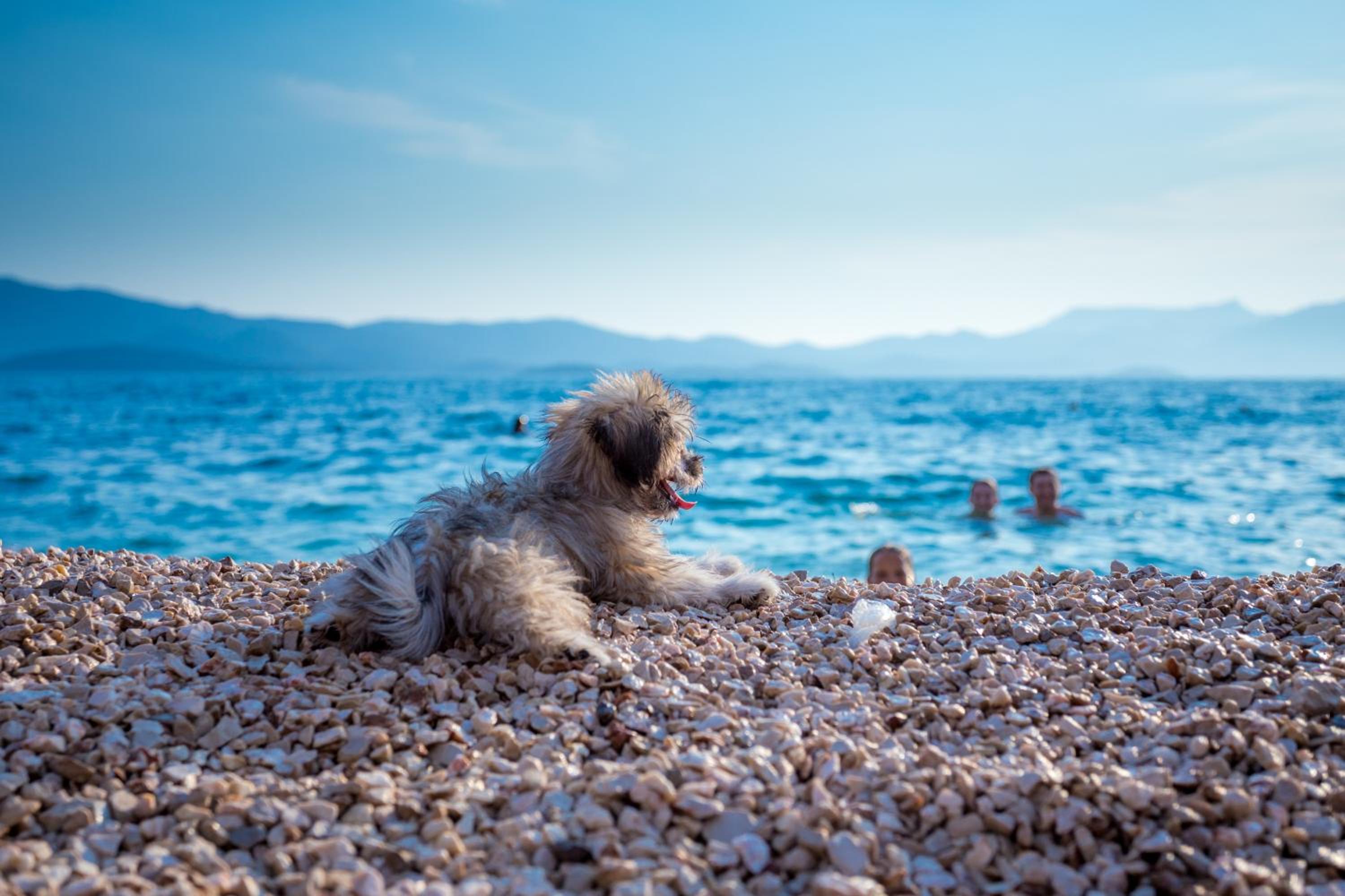 AG Komarna - Peljesac Bridge Apartments