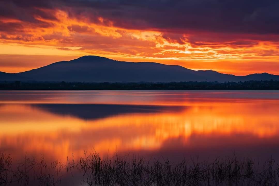 Domki nad jeziorem-Wodnik