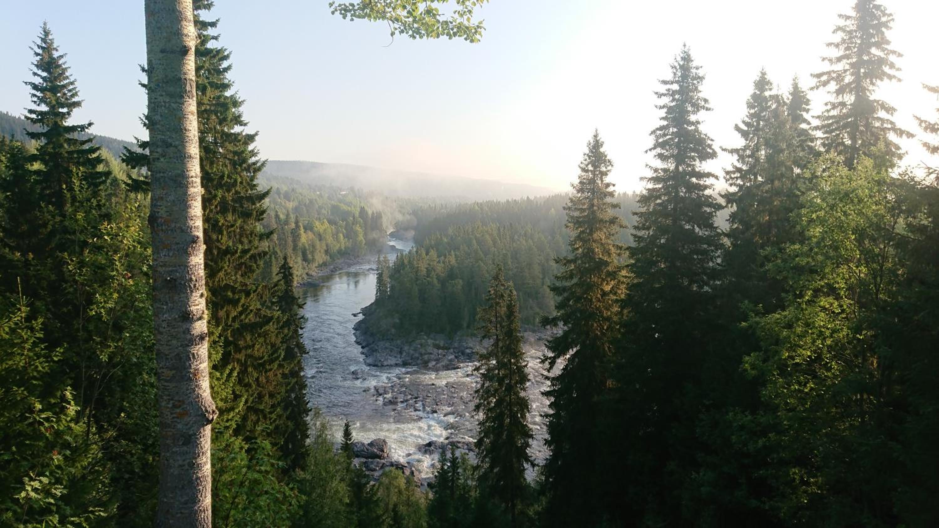 Ristafallets Camping - Image 4