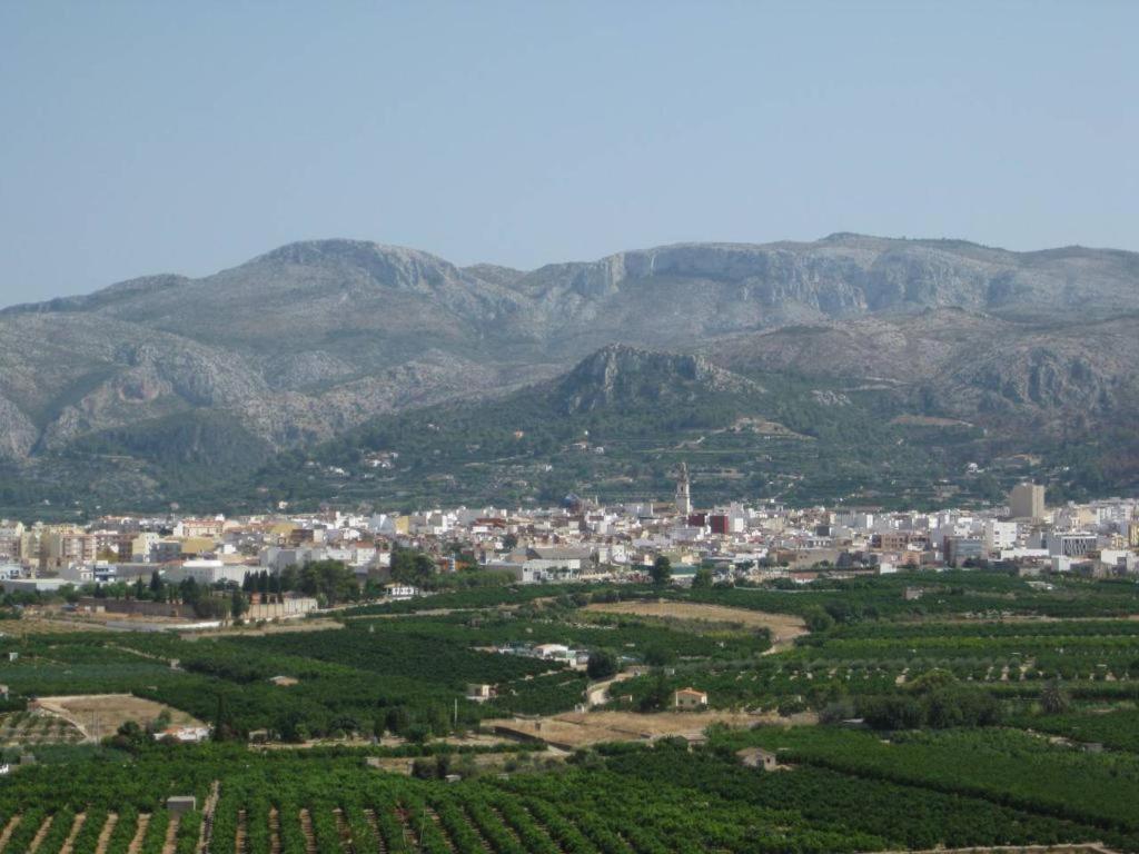 Photo 12
