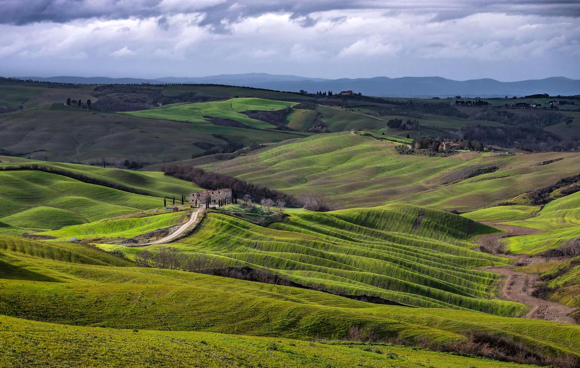 Podere Fossaccio Casa Olivo view 4