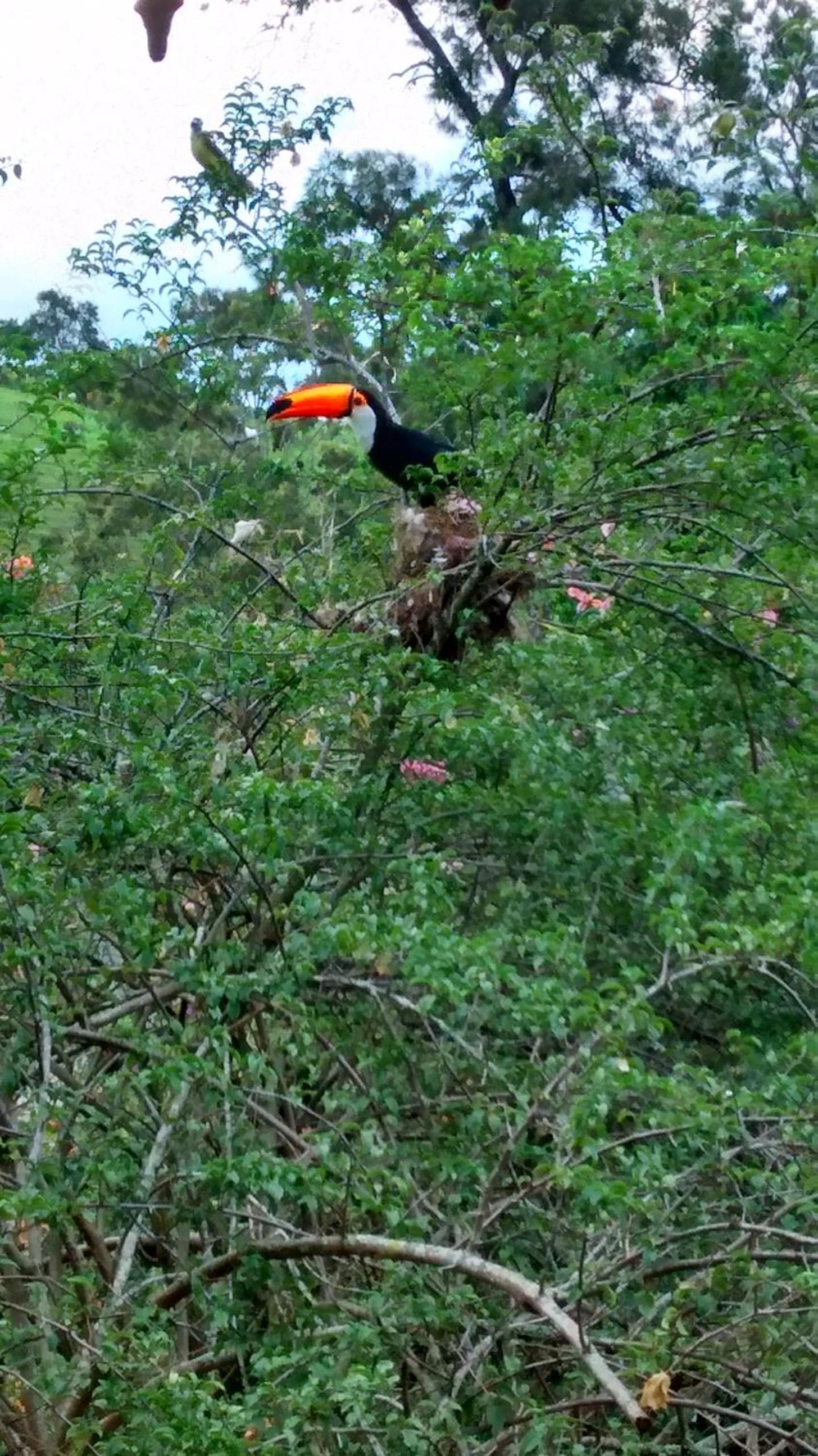Pousada do Mendonça