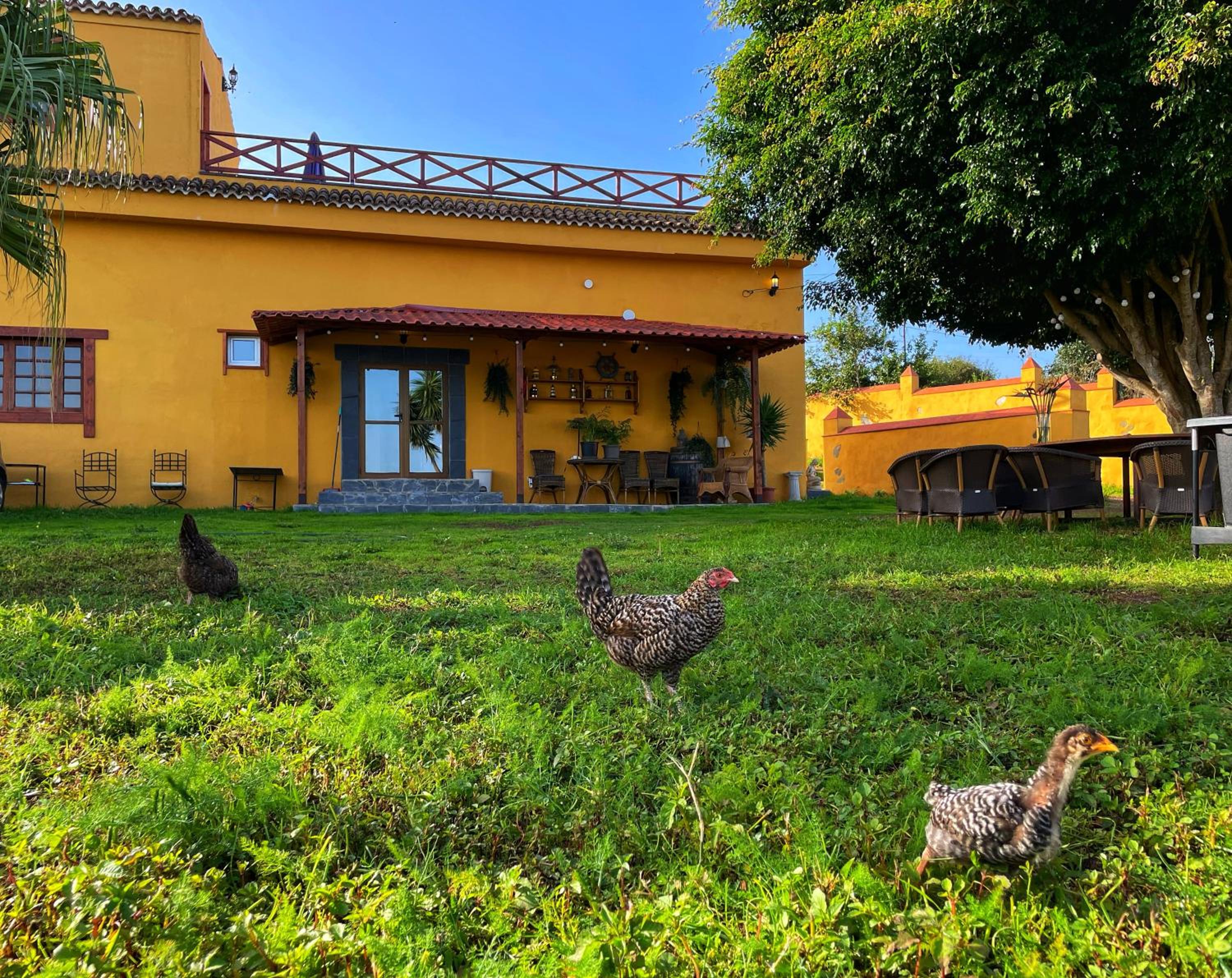 Villa Fort Tenerife