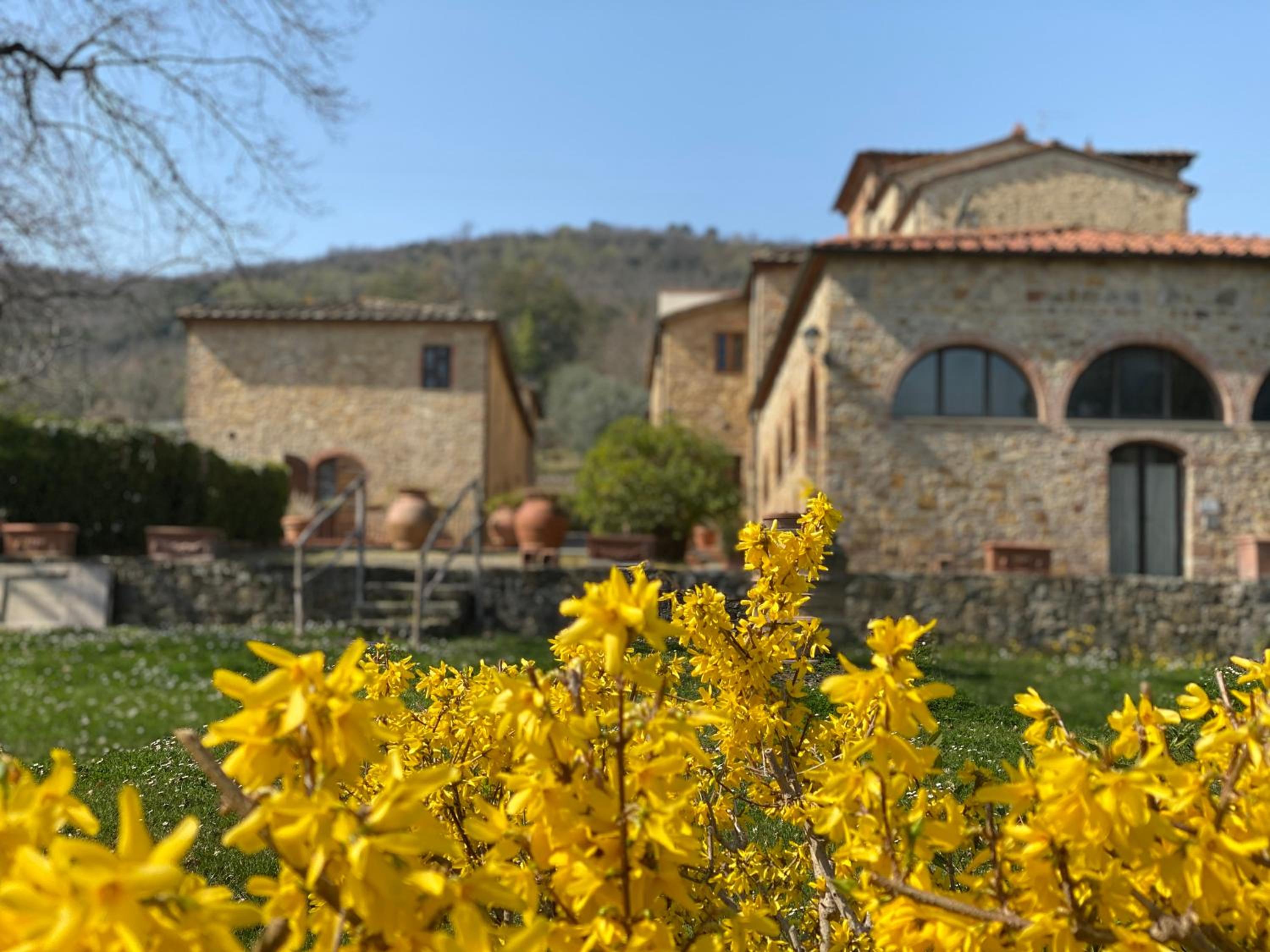 Tenuta Lupinari