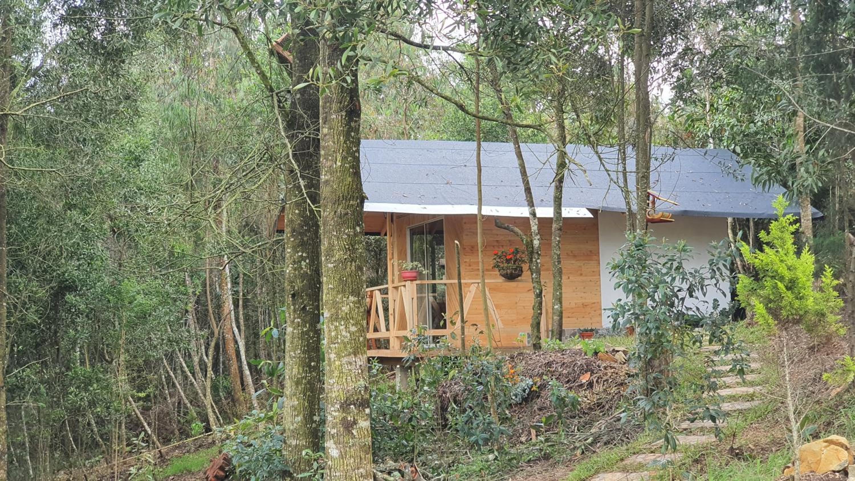 Cabañas Piedemonte