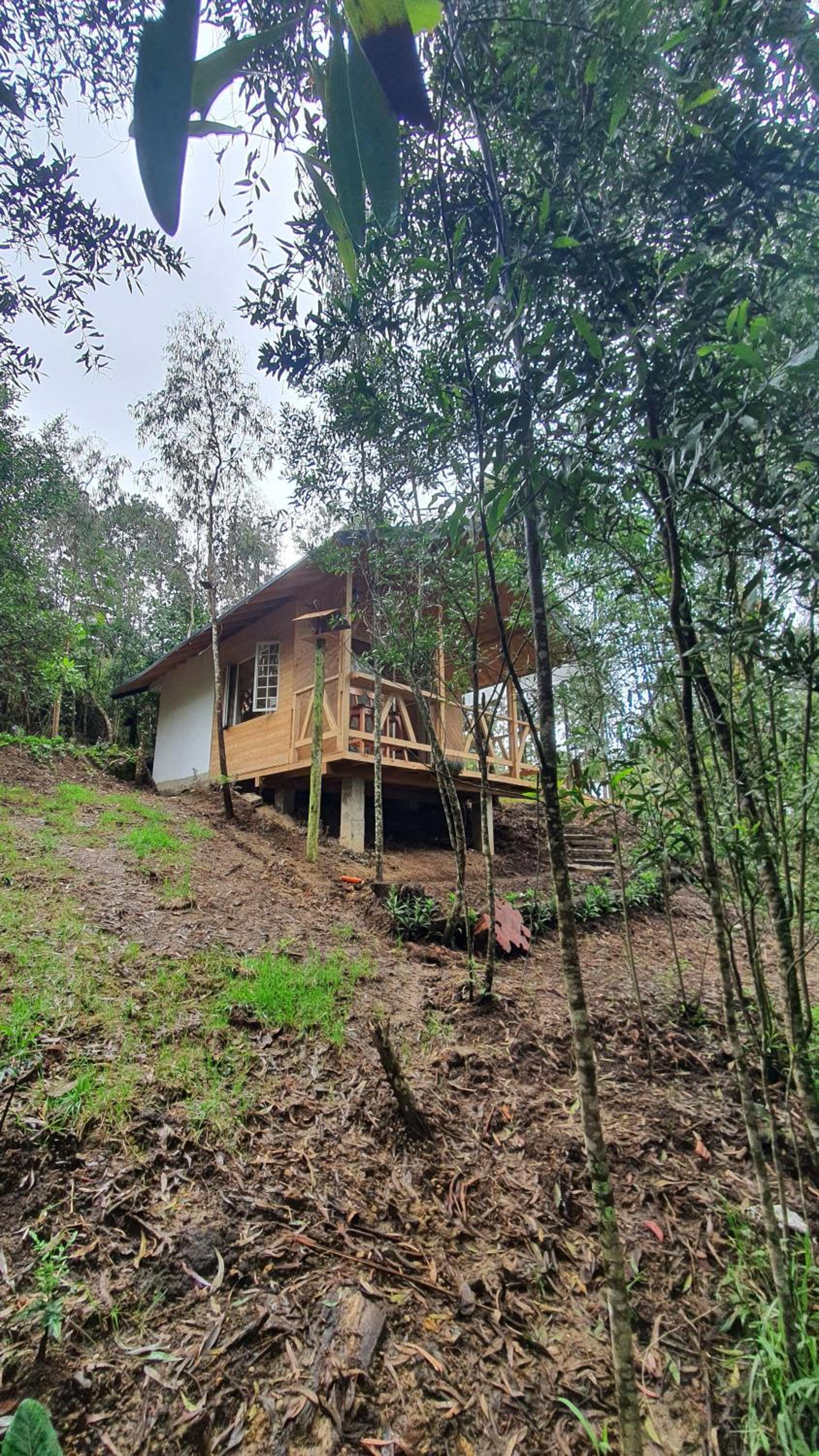 Cabañas Piedemonte