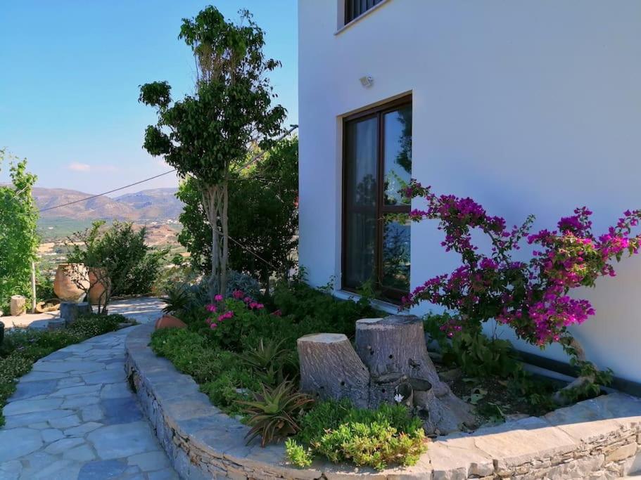 Panorama Family House
