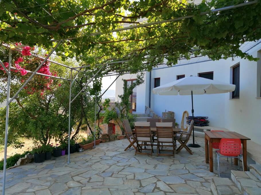 Panorama Family House