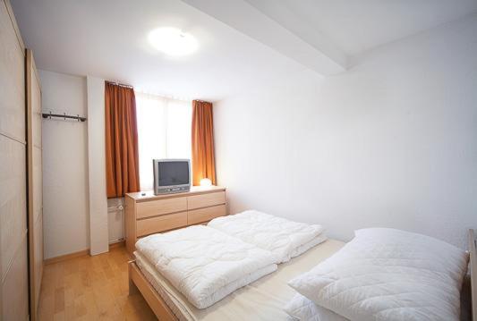Luegisland Wohnung Salietti