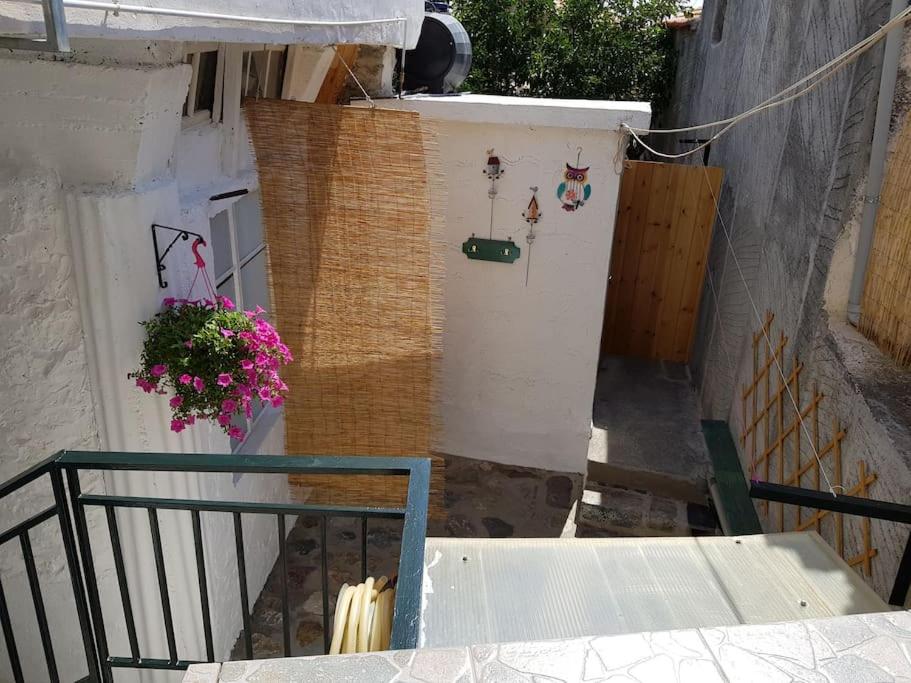 Photo 23
